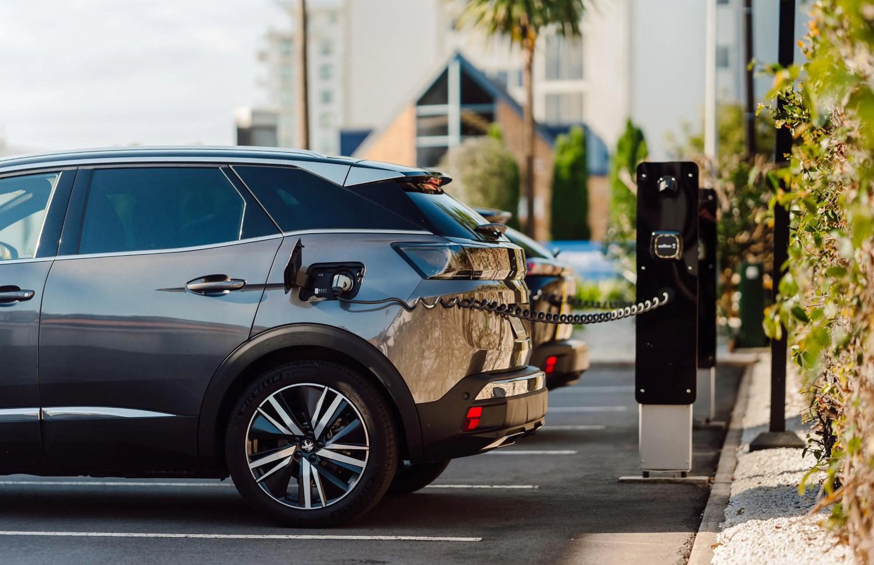 Area and facilities in CitySide Hotel Tauranga