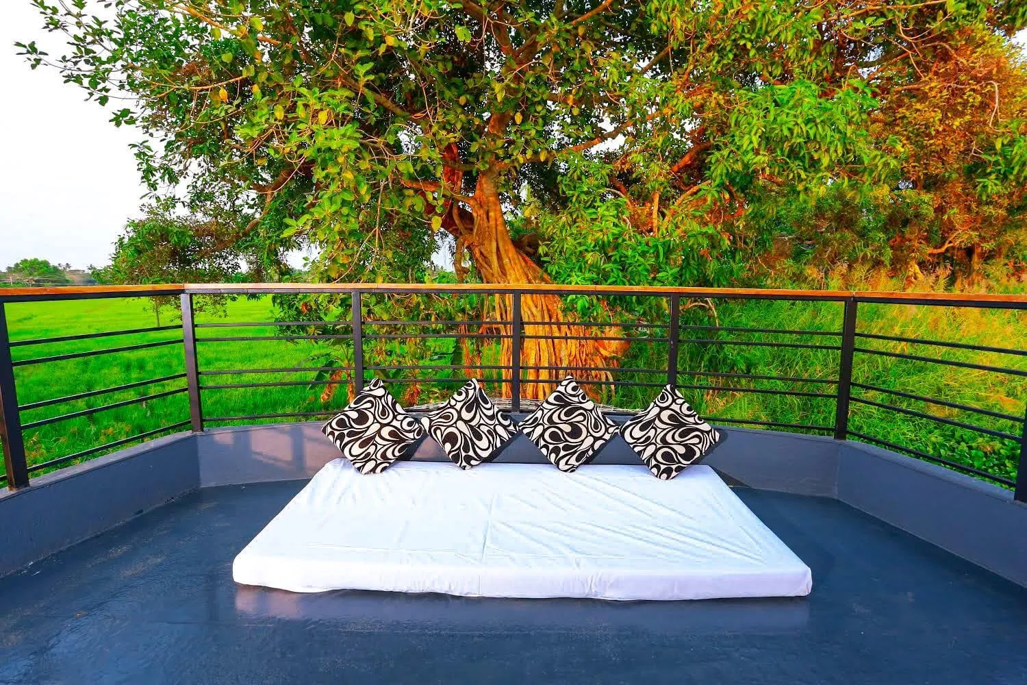 Balcony/Terrace in Honeymoon Houseboat