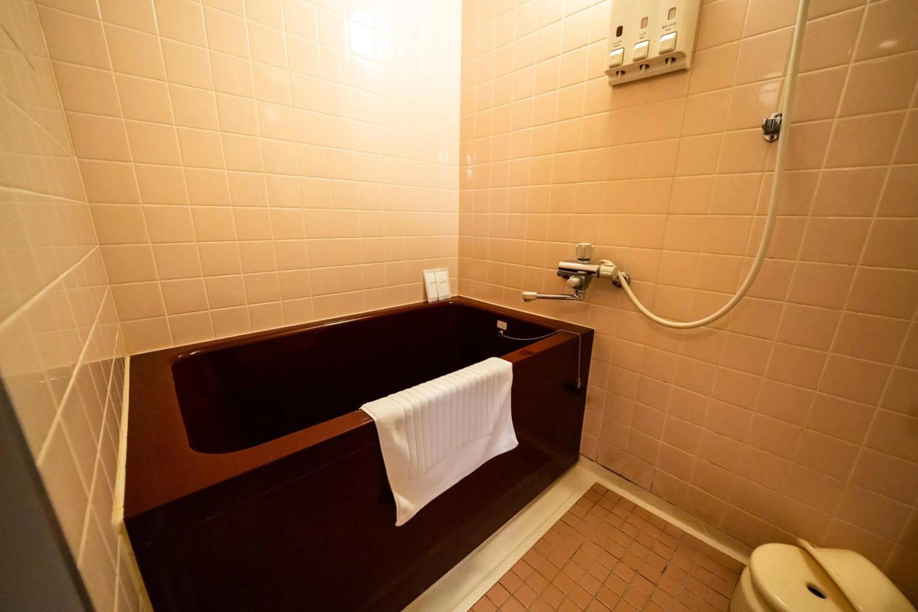 Shower in Ramada Encore by Wyndham Amagasaki