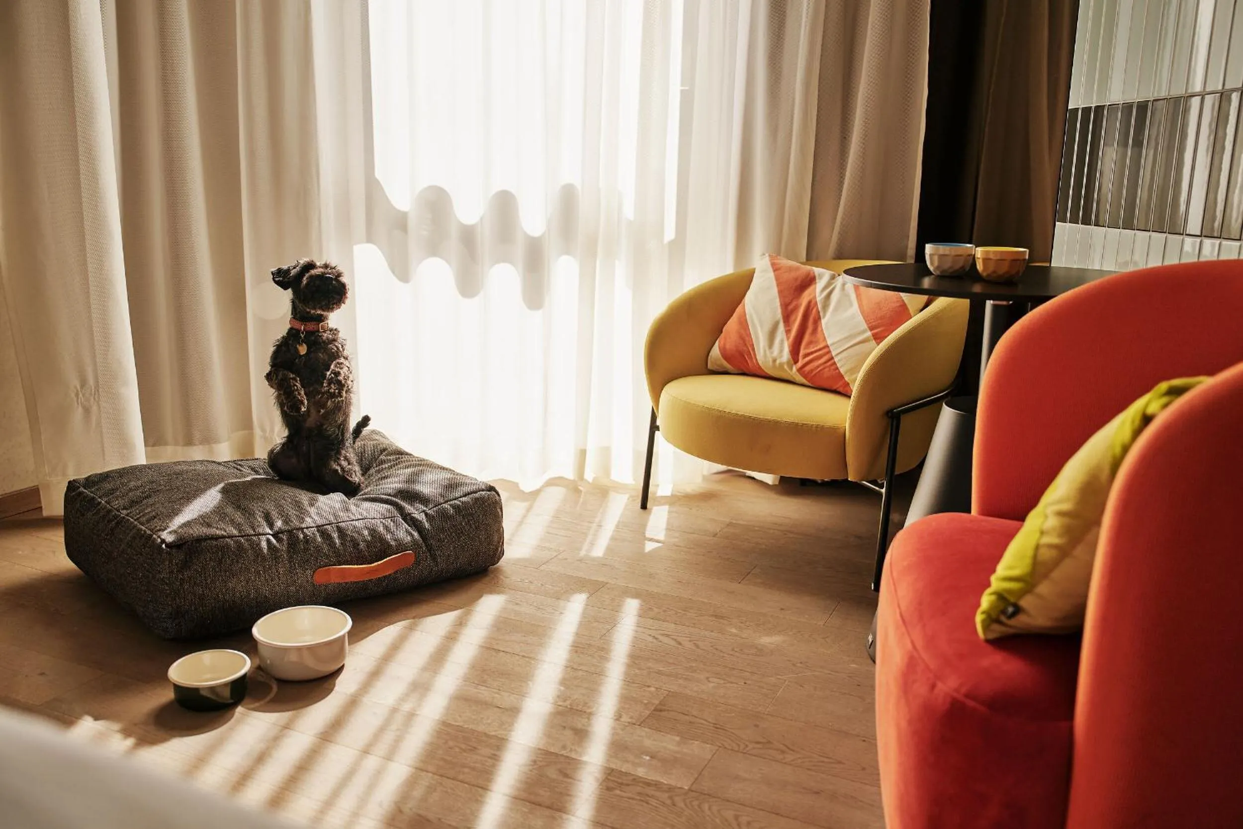 Pets in Urban Nature Bad Gastein - Badeschloss