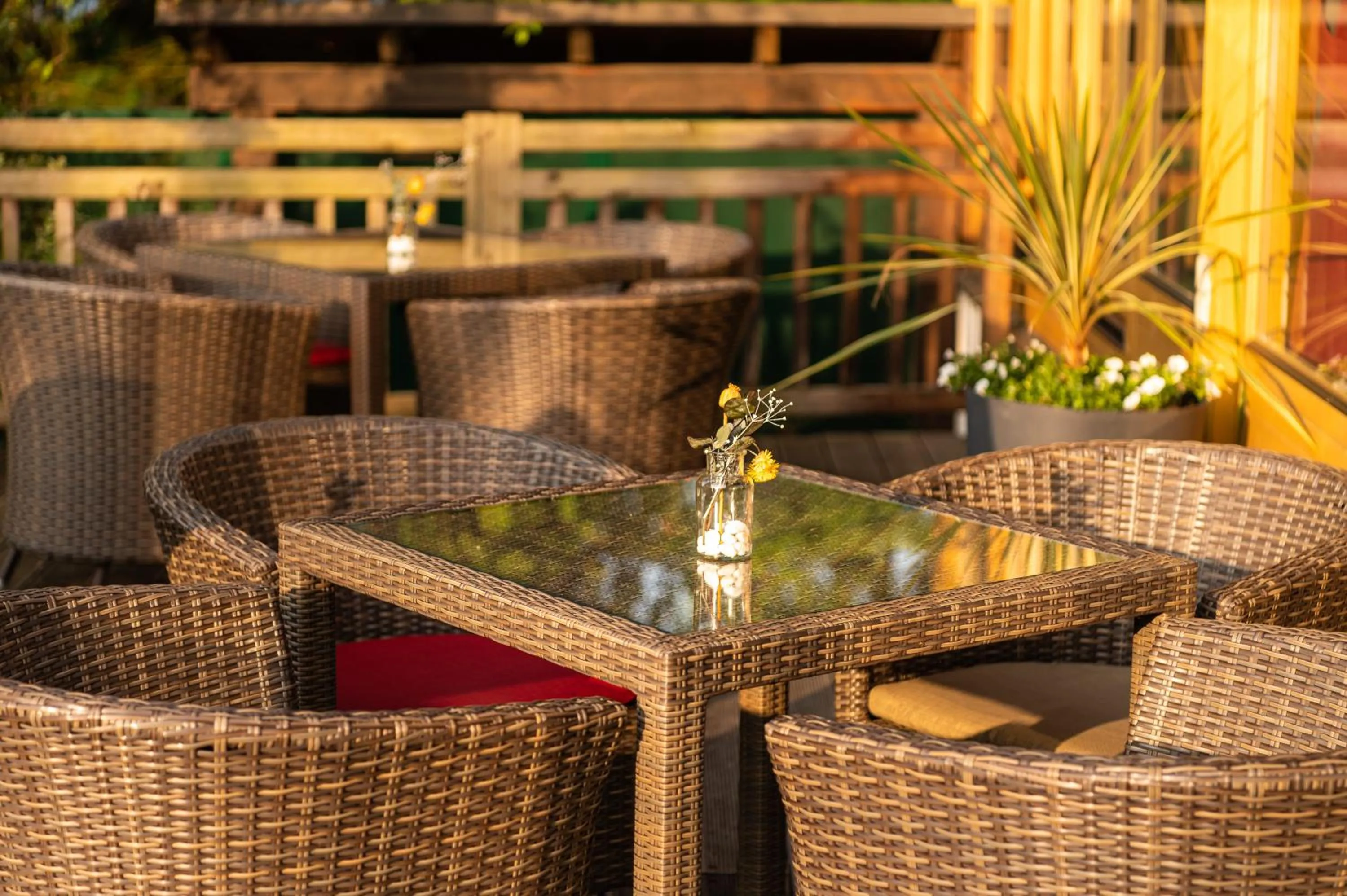 Garden in Seehotel Urban