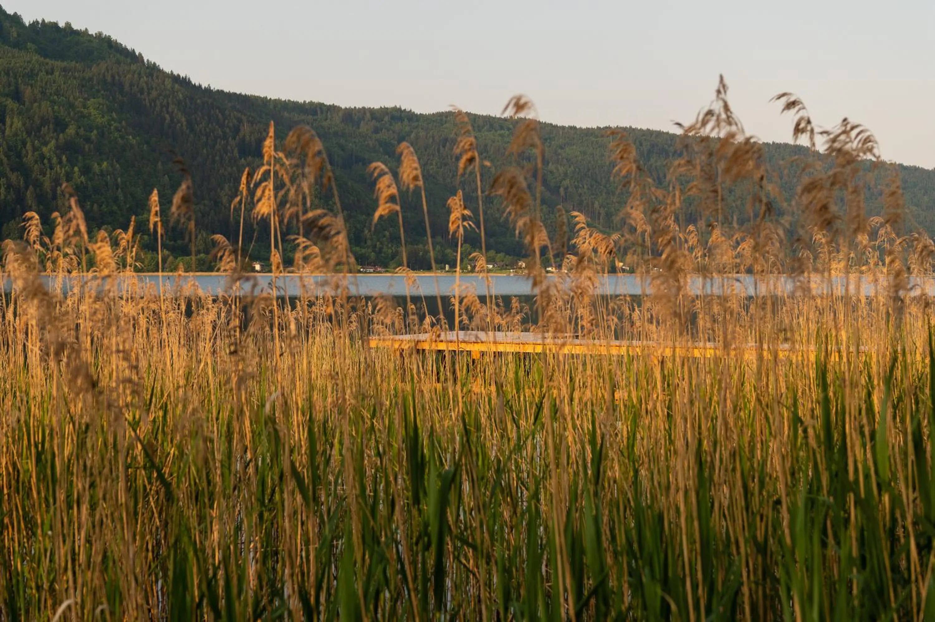 Lake view in Seehotel Urban