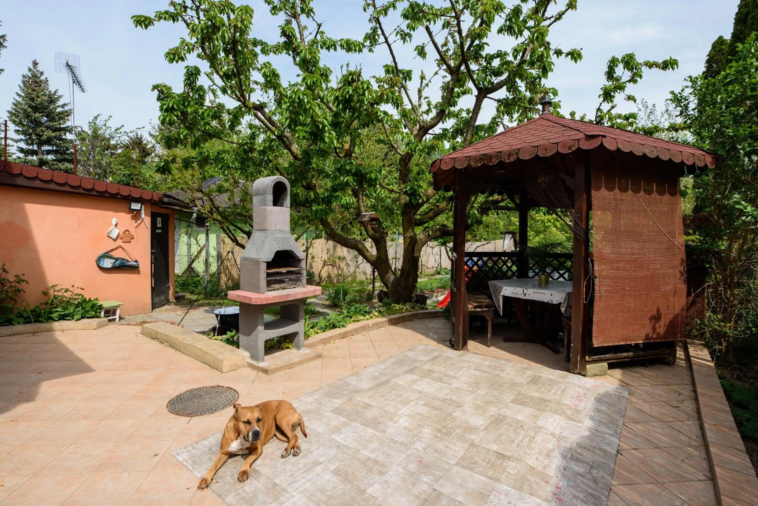BBQ facilities in Emili Apartman Ráckeve
