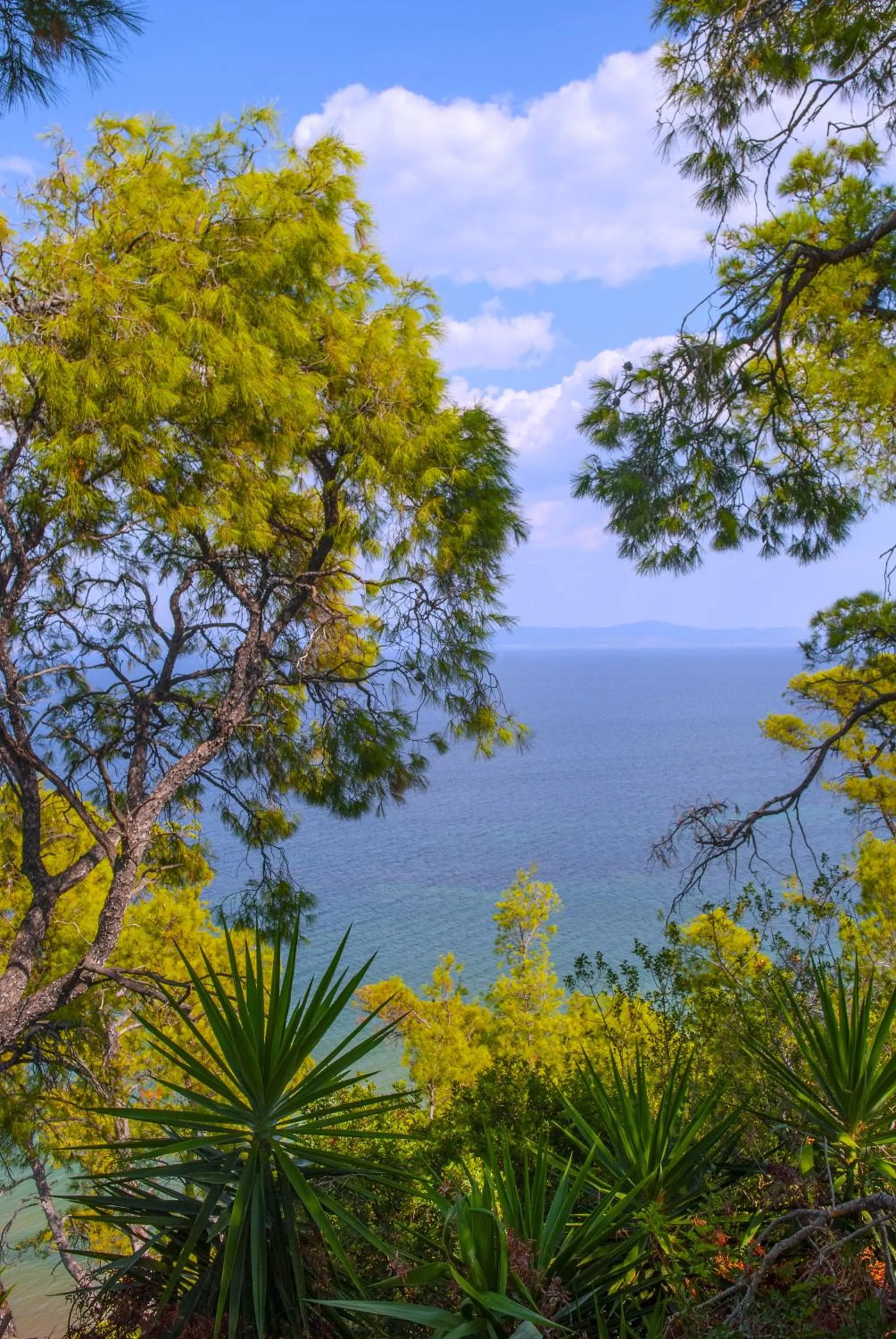 Sea view in Aurora Suites