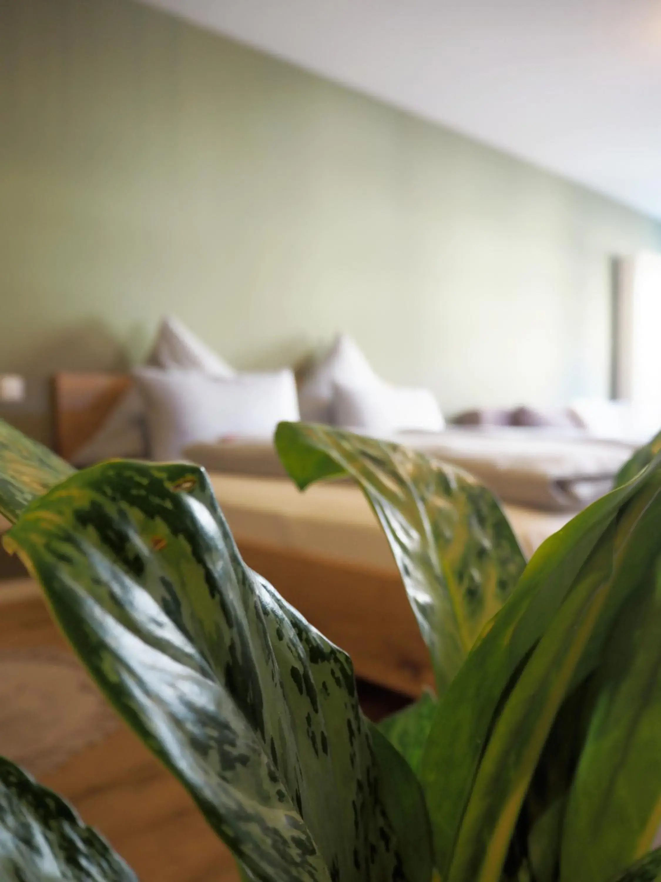 Das Altschwabing - Munich Boutique Hotel Das Altschwabing - Munich Boutique Hotel