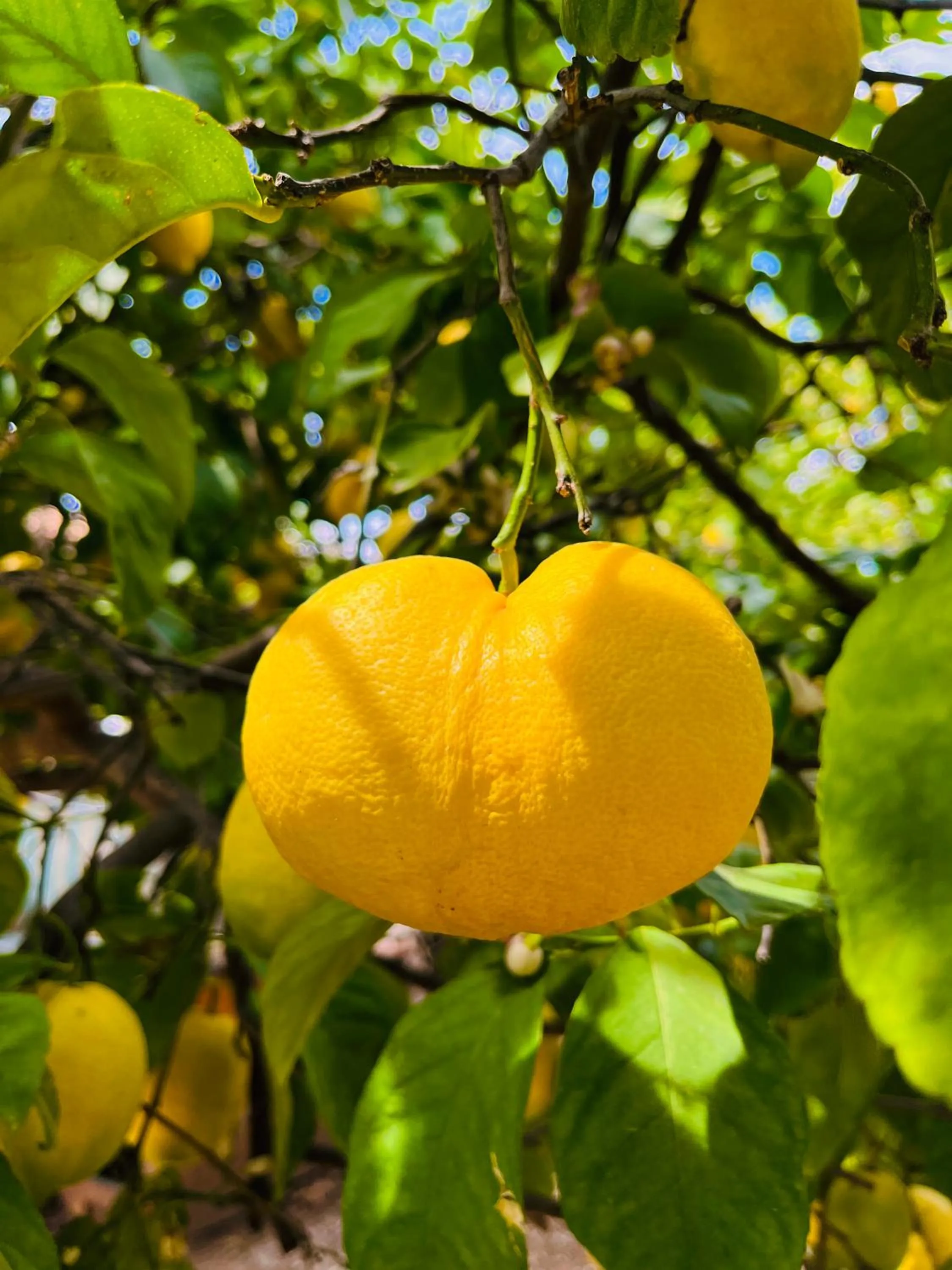 Day in Gelidonya Pansiyon