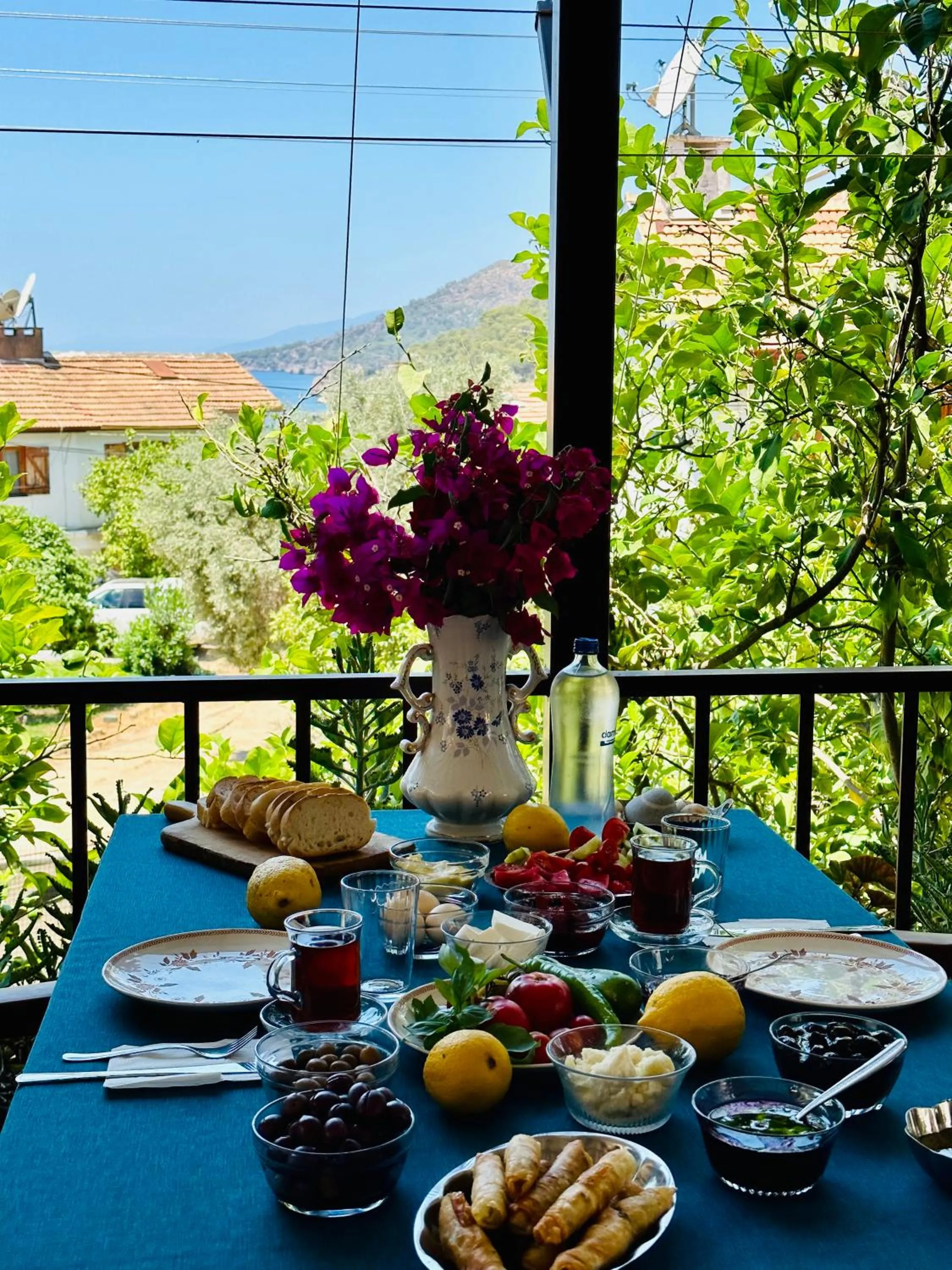 Day in Gelidonya Pansiyon