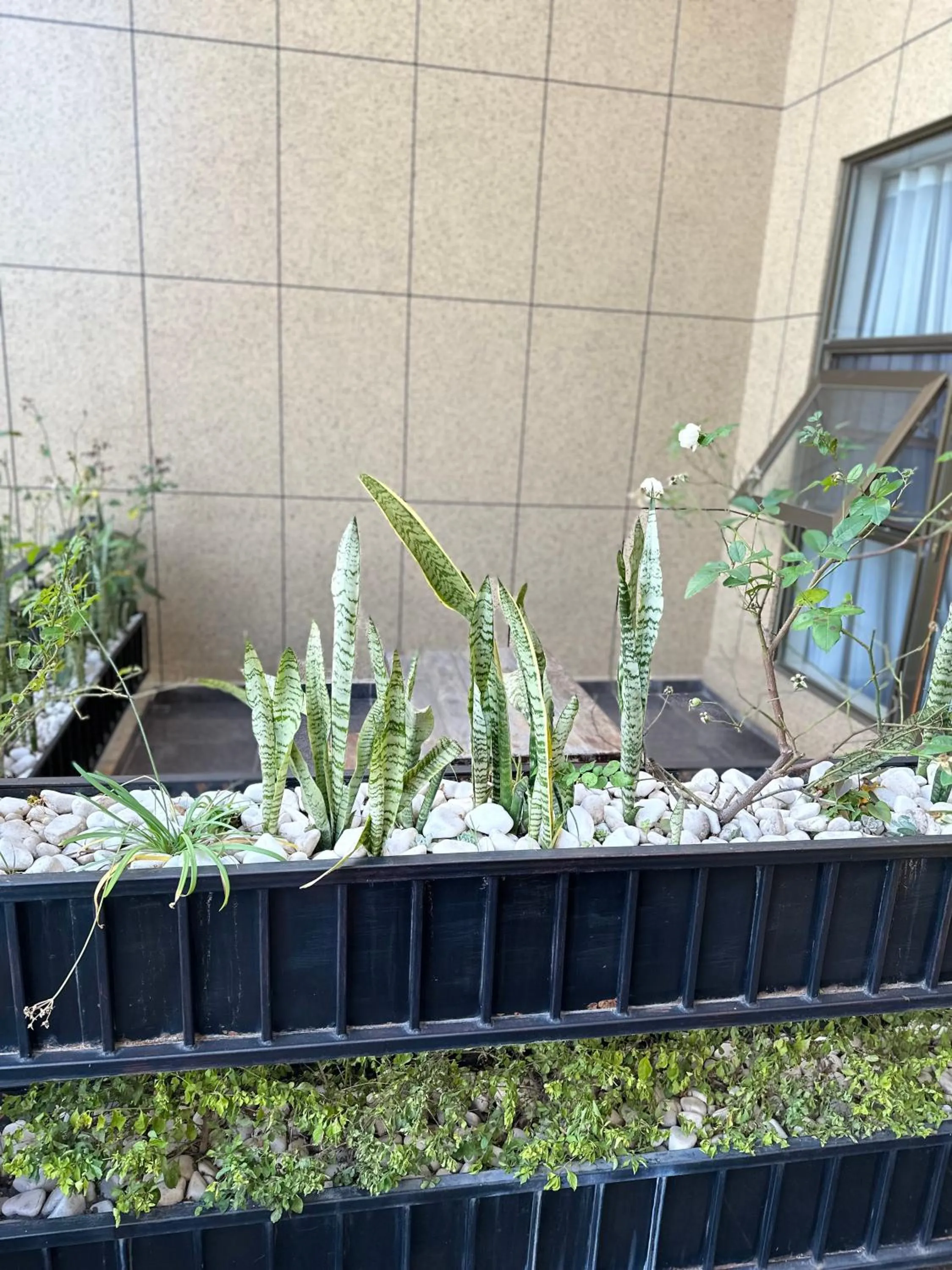 Balcony/Terrace in The Venetian Hotel