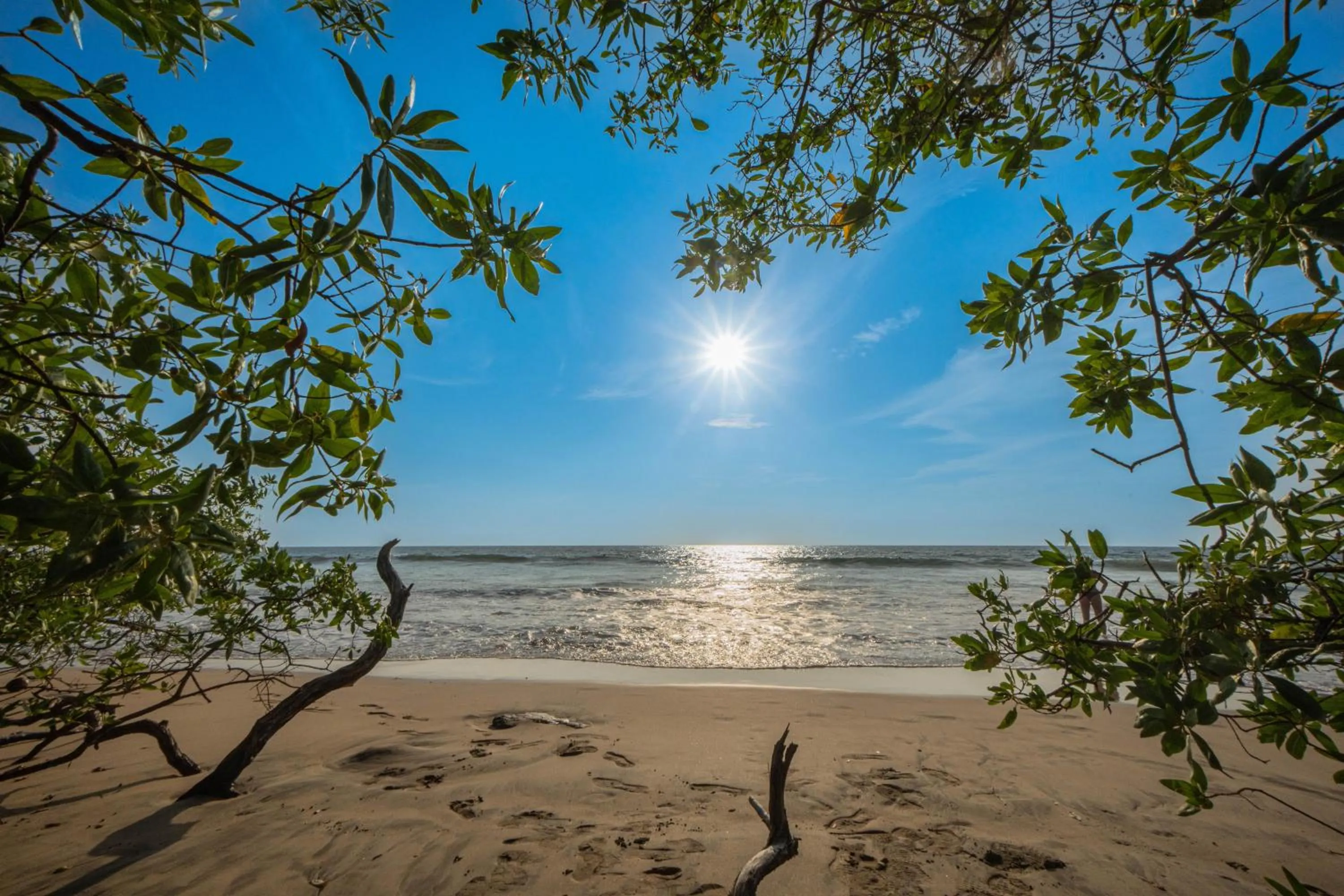 Beach in Villas VR Beachwalk Avellanas