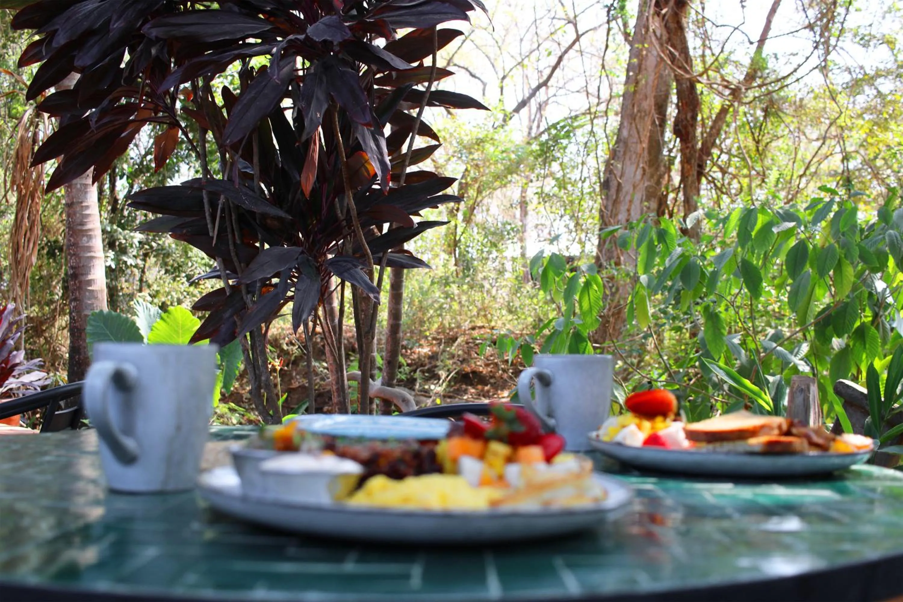 Breakfast in Villas VR Beachwalk Avellanas