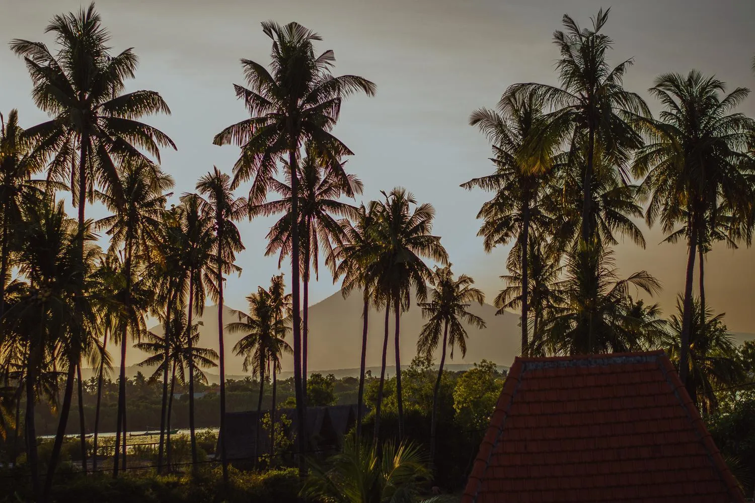 Natural landscape in Mangroove Bay Boutique Hostel