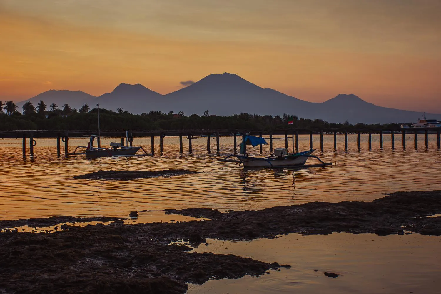 Natural landscape in Mangroove Bay Boutique Hostel