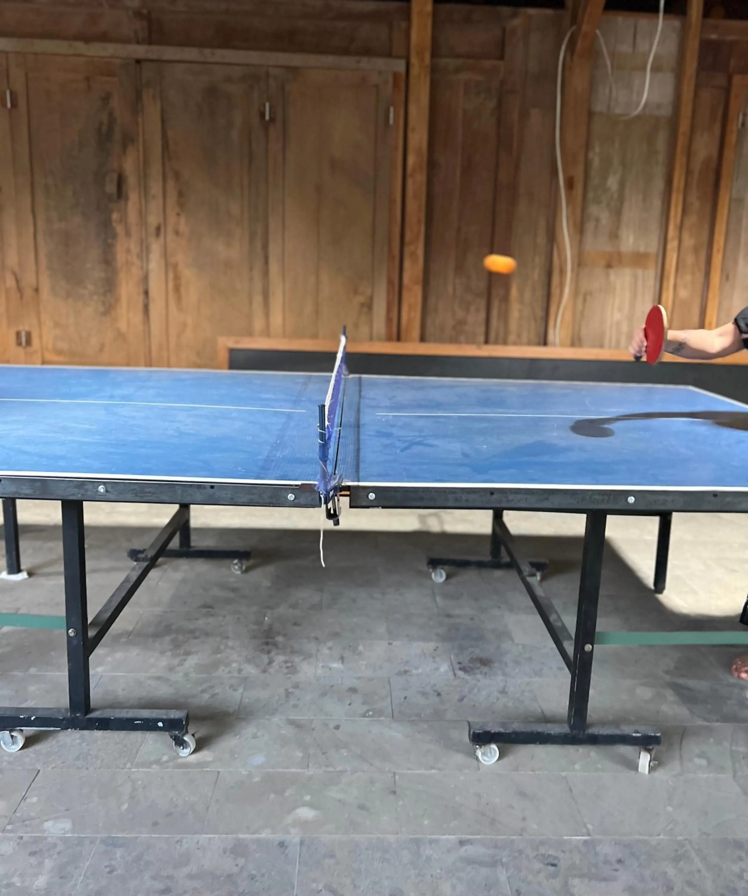 Activities in Mangroove Bay Boutique Hostel