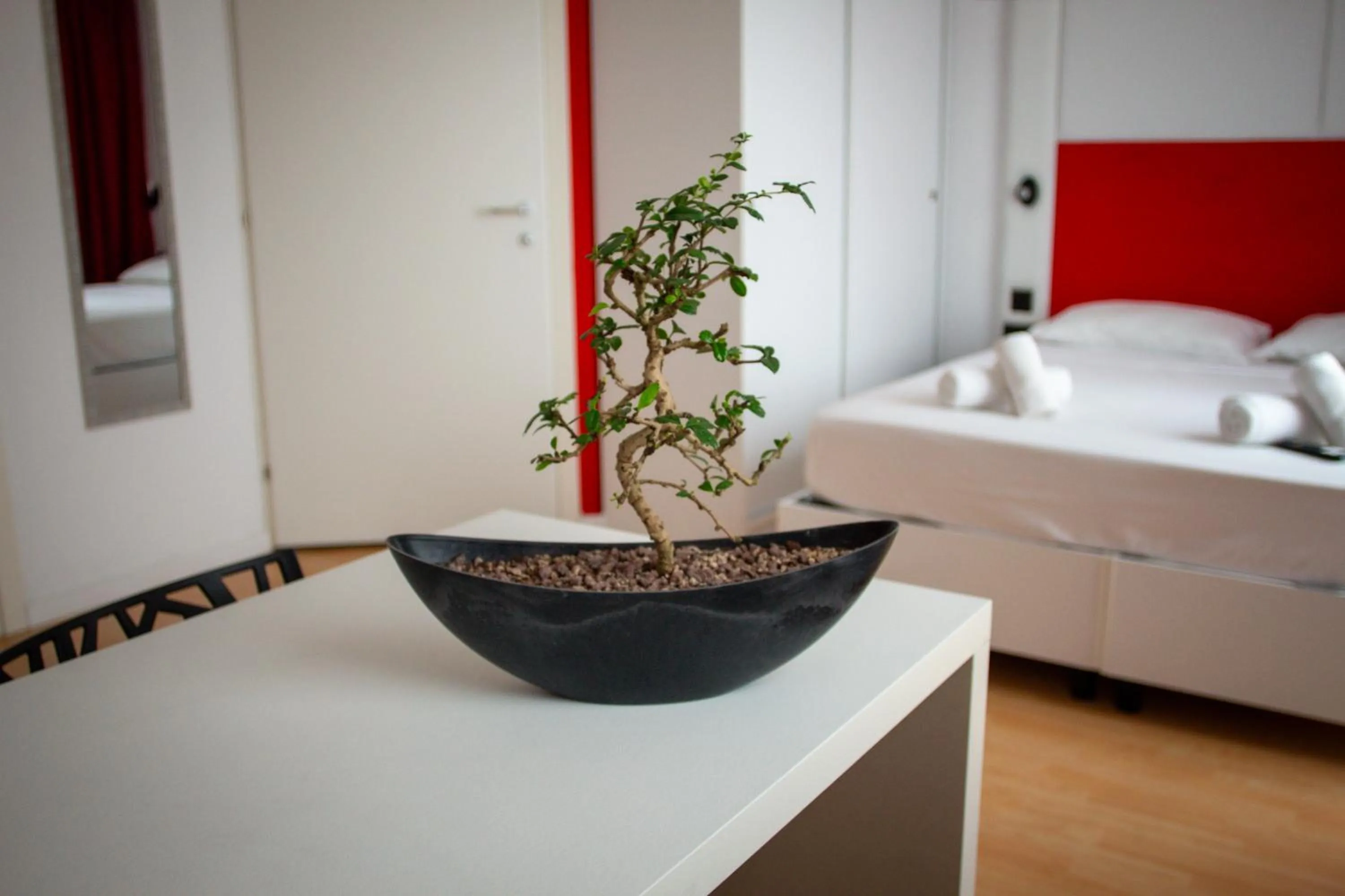 Sea view, Bed in Citizen Suites