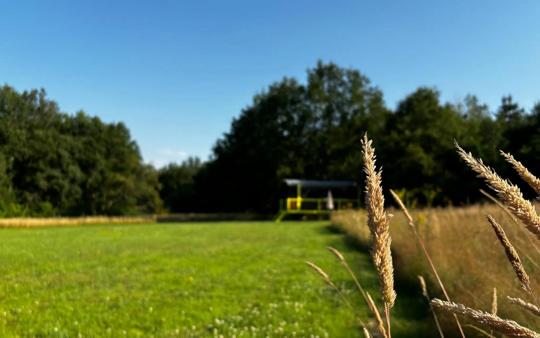 Garden in Domaine de la Grangée