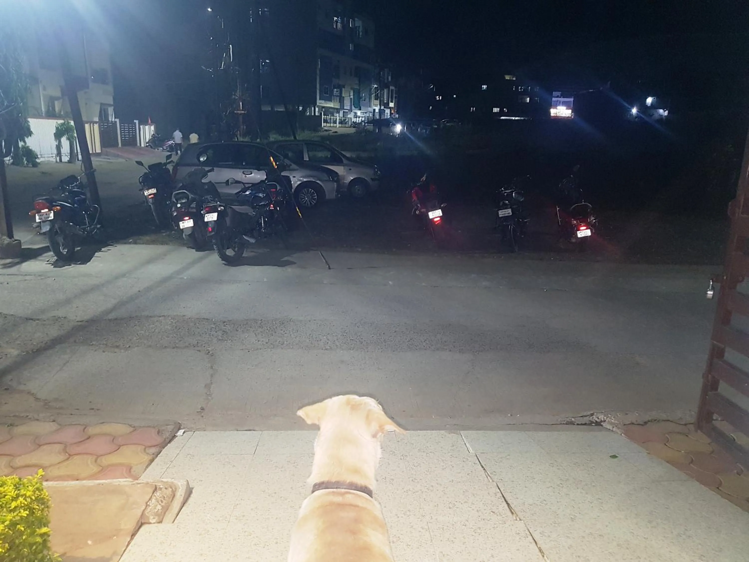 Parking in SUKH PALACE