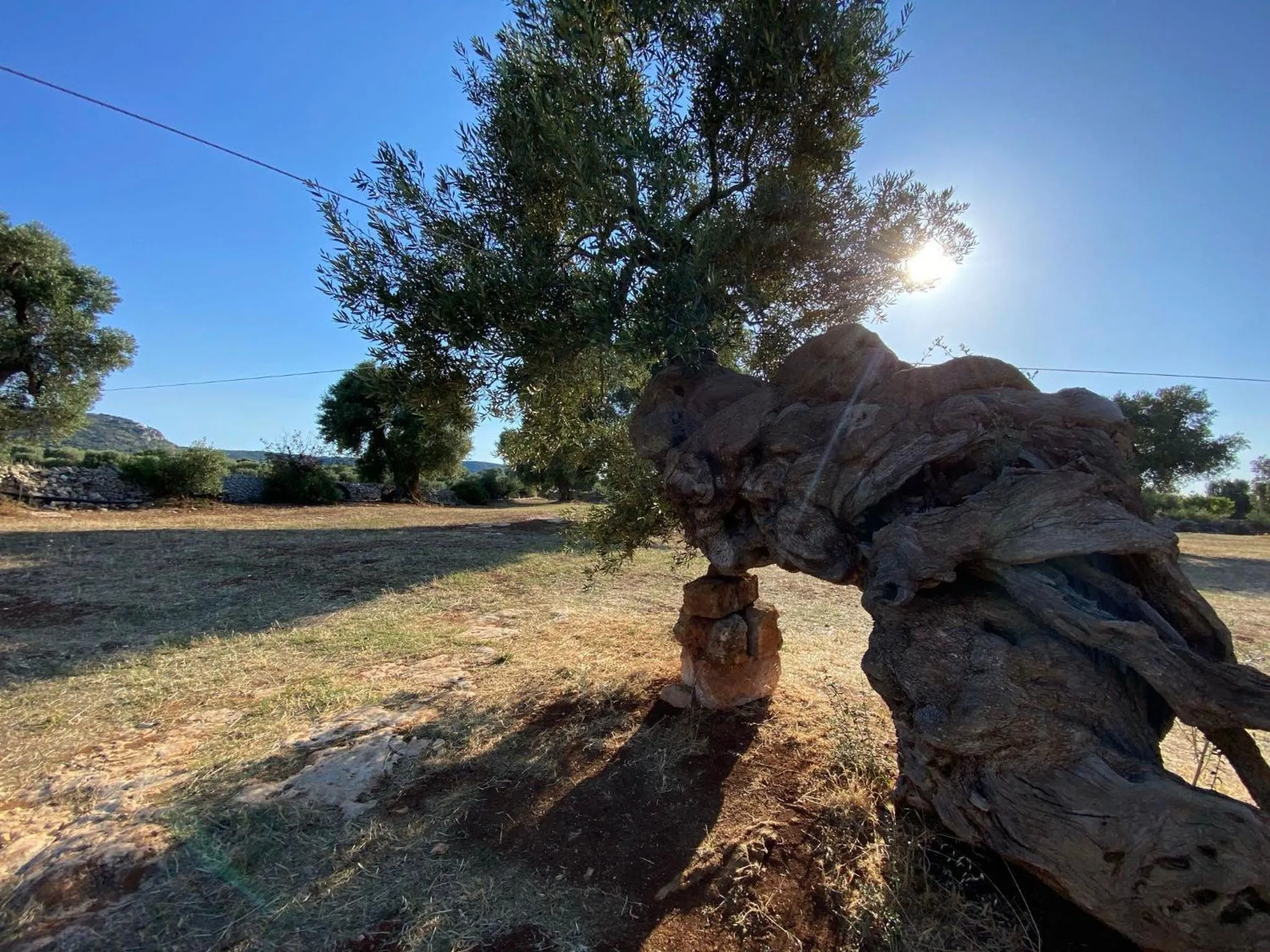 Landmark view in Racconti di pietra