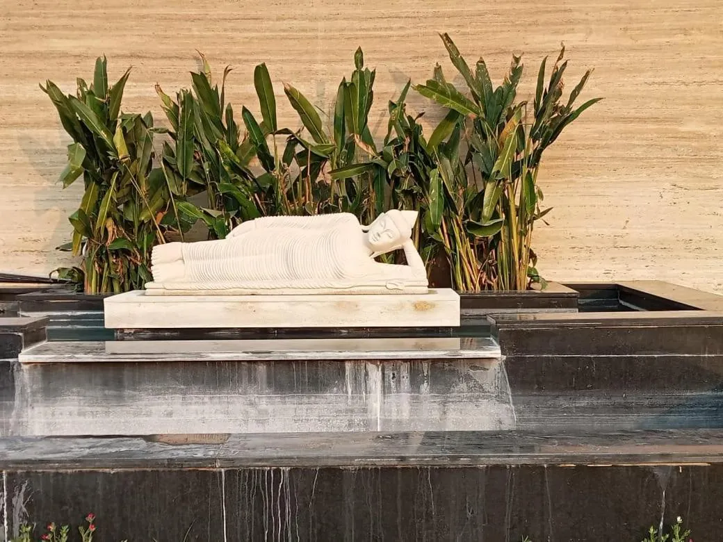 Garden in Hotel Tulips Grand