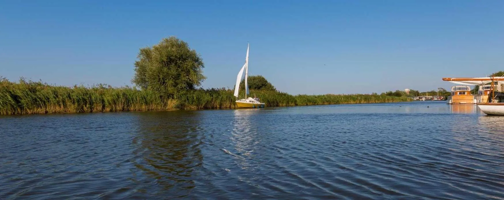 Other in The Rampart