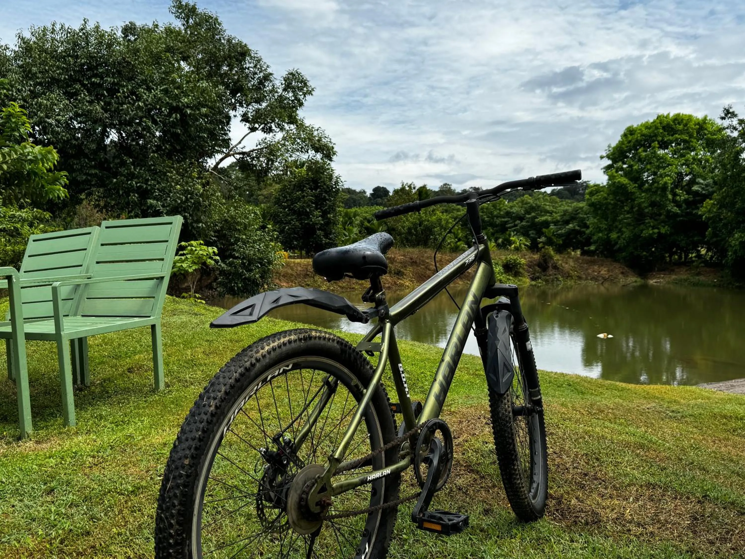 Lake view in Bendheka - Cliff Front Cottages Coorg
