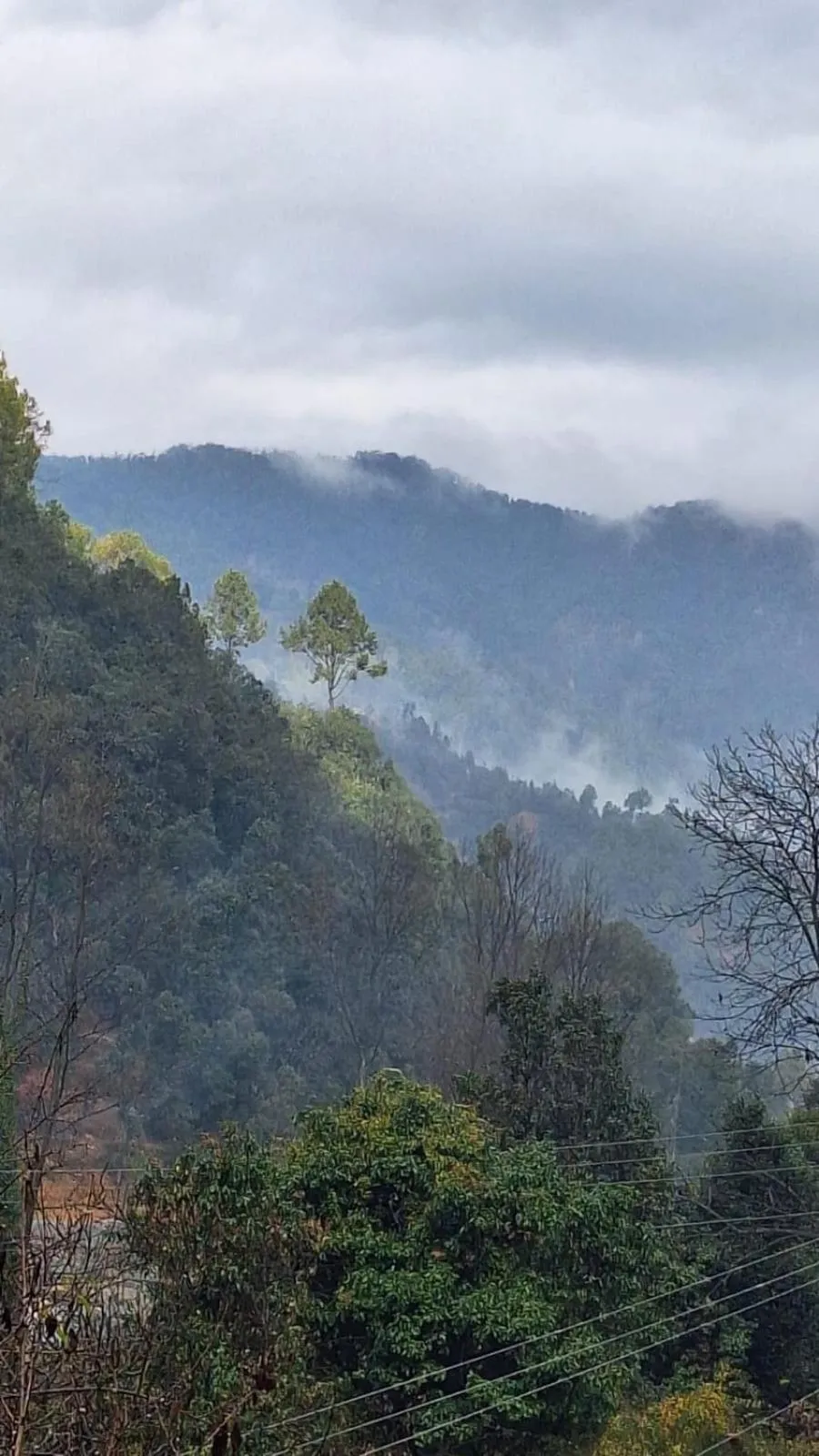 Natural landscape in Blossom Bliss Resort