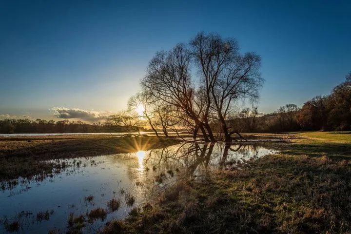 Natural landscape in HotelHafenWedel