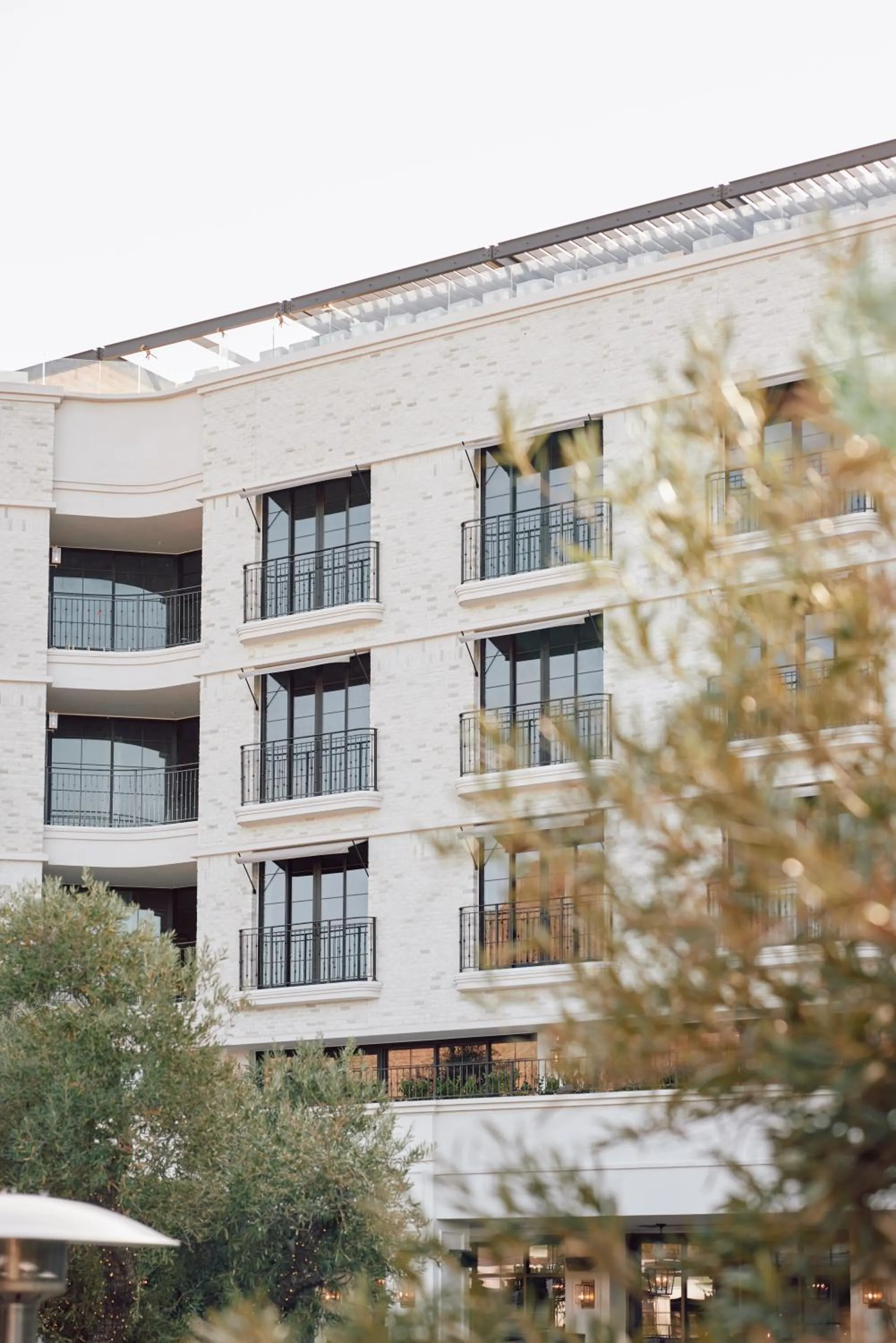 The Global Ambassador