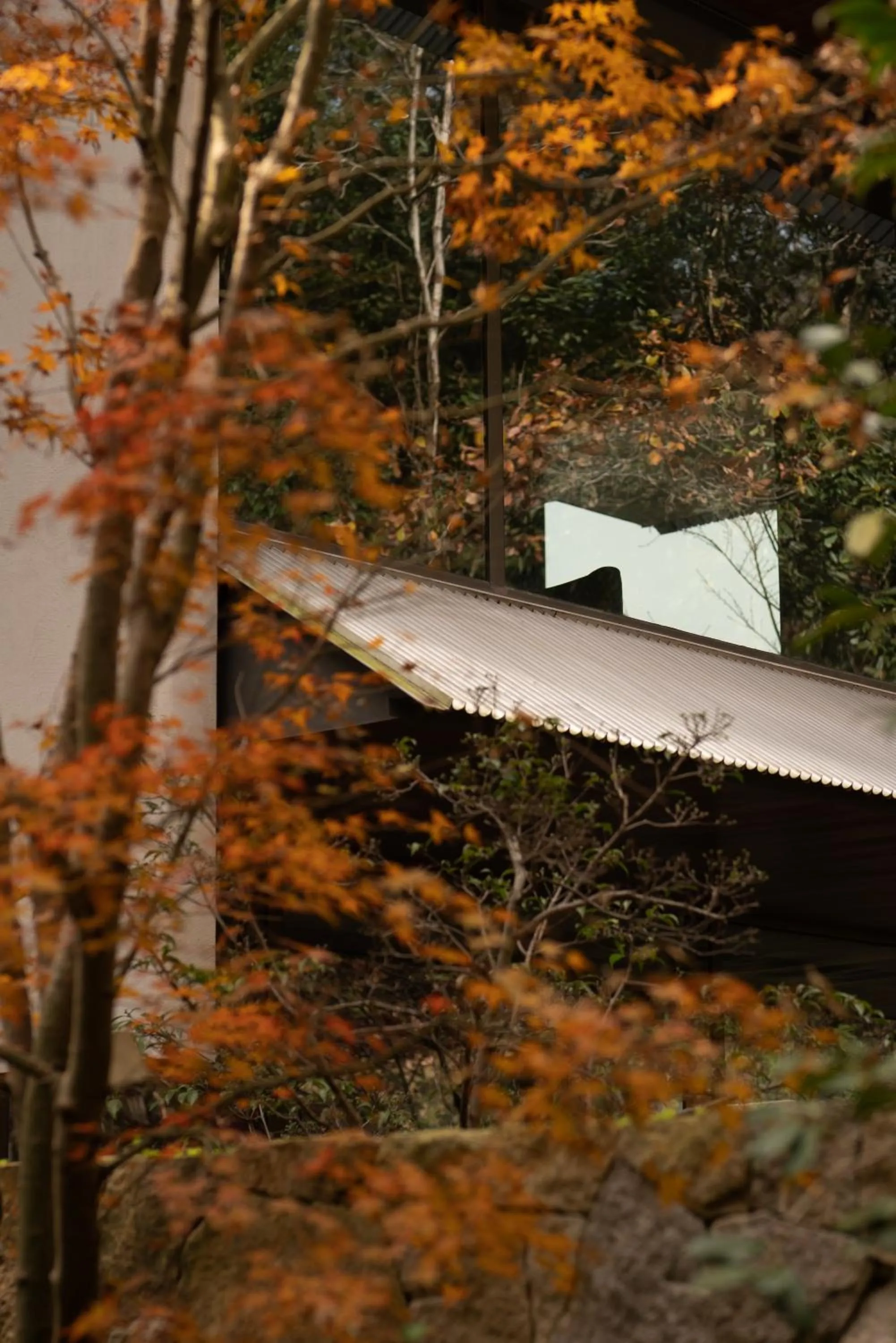 Natural landscape in Yakamoz Qianchuan Hotel