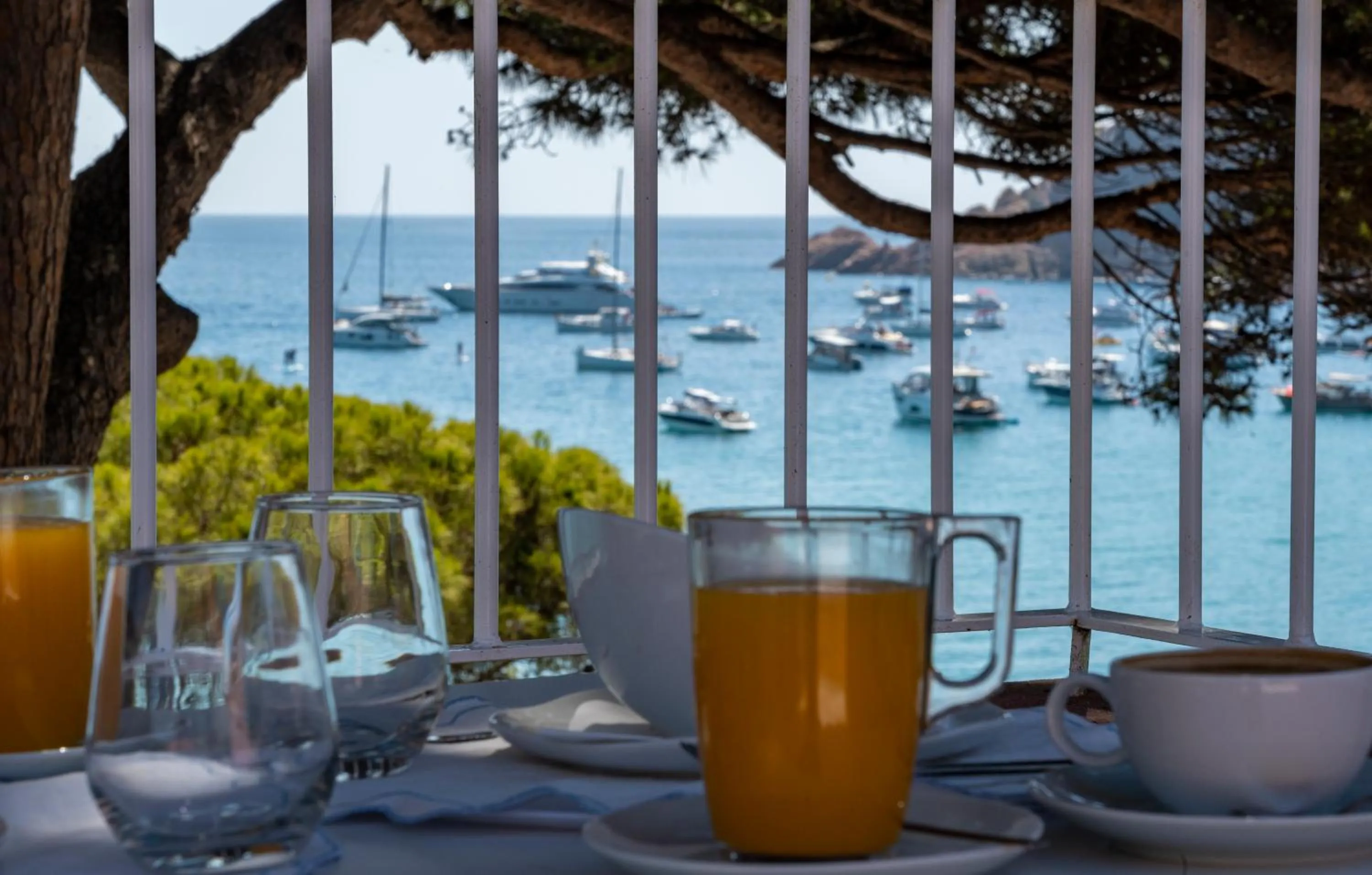 Balcony/Terrace in The Pink Elephant Hotel