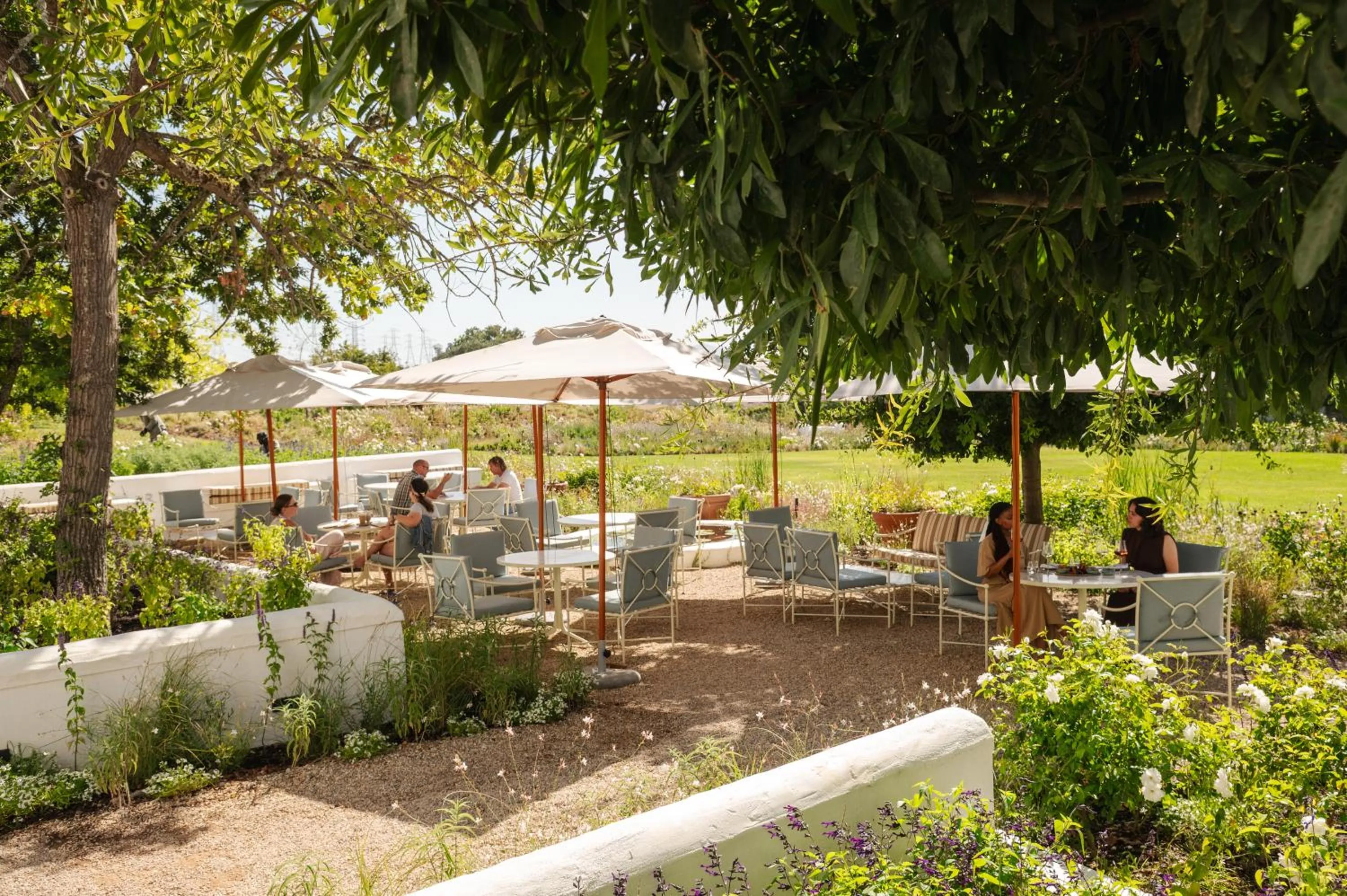 Restaurant/places to eat in The Hazendal Hotel and Spa