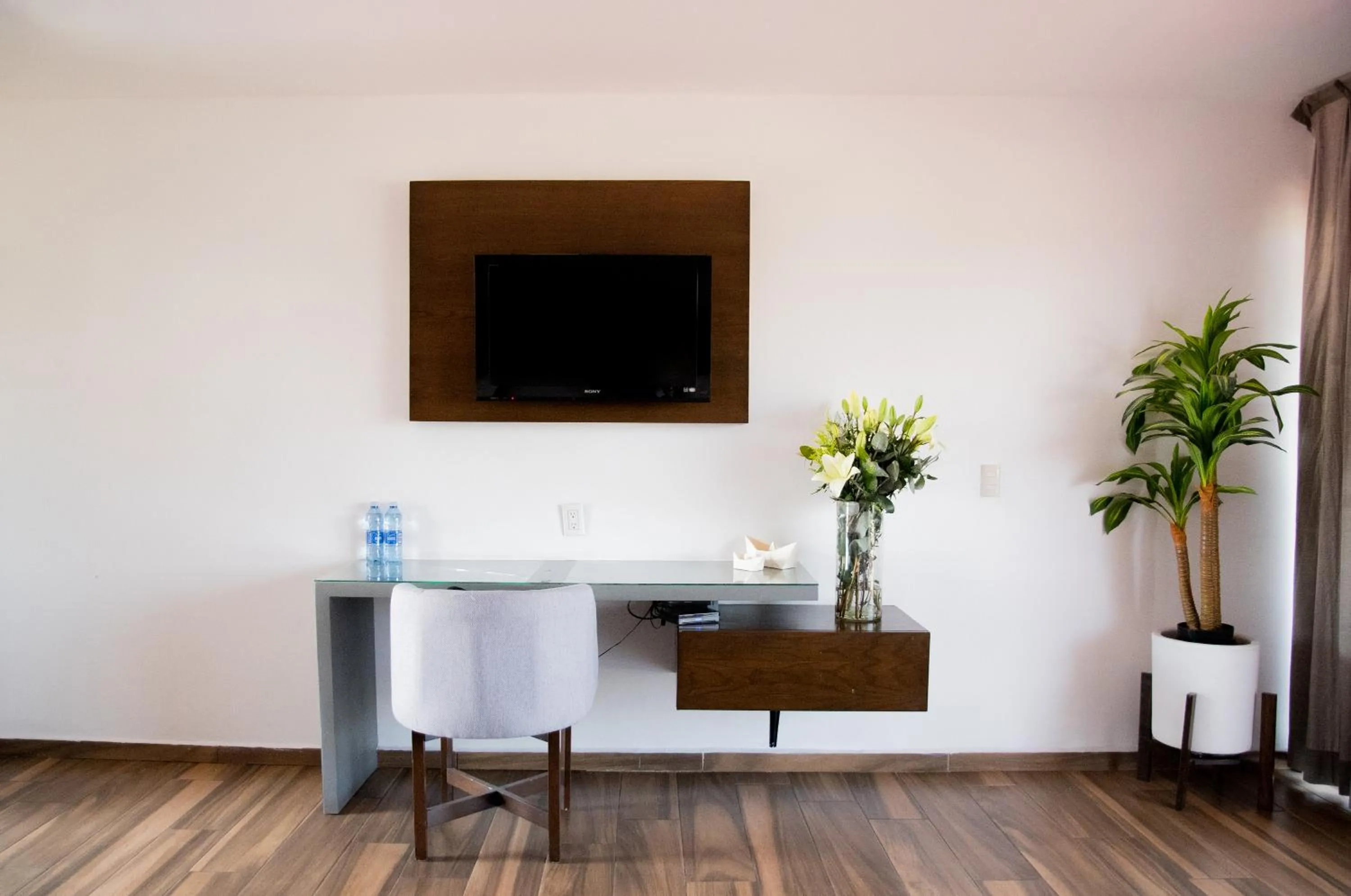 TV and multimedia in Hotel Expo Plaza Business and Family Guadalajara