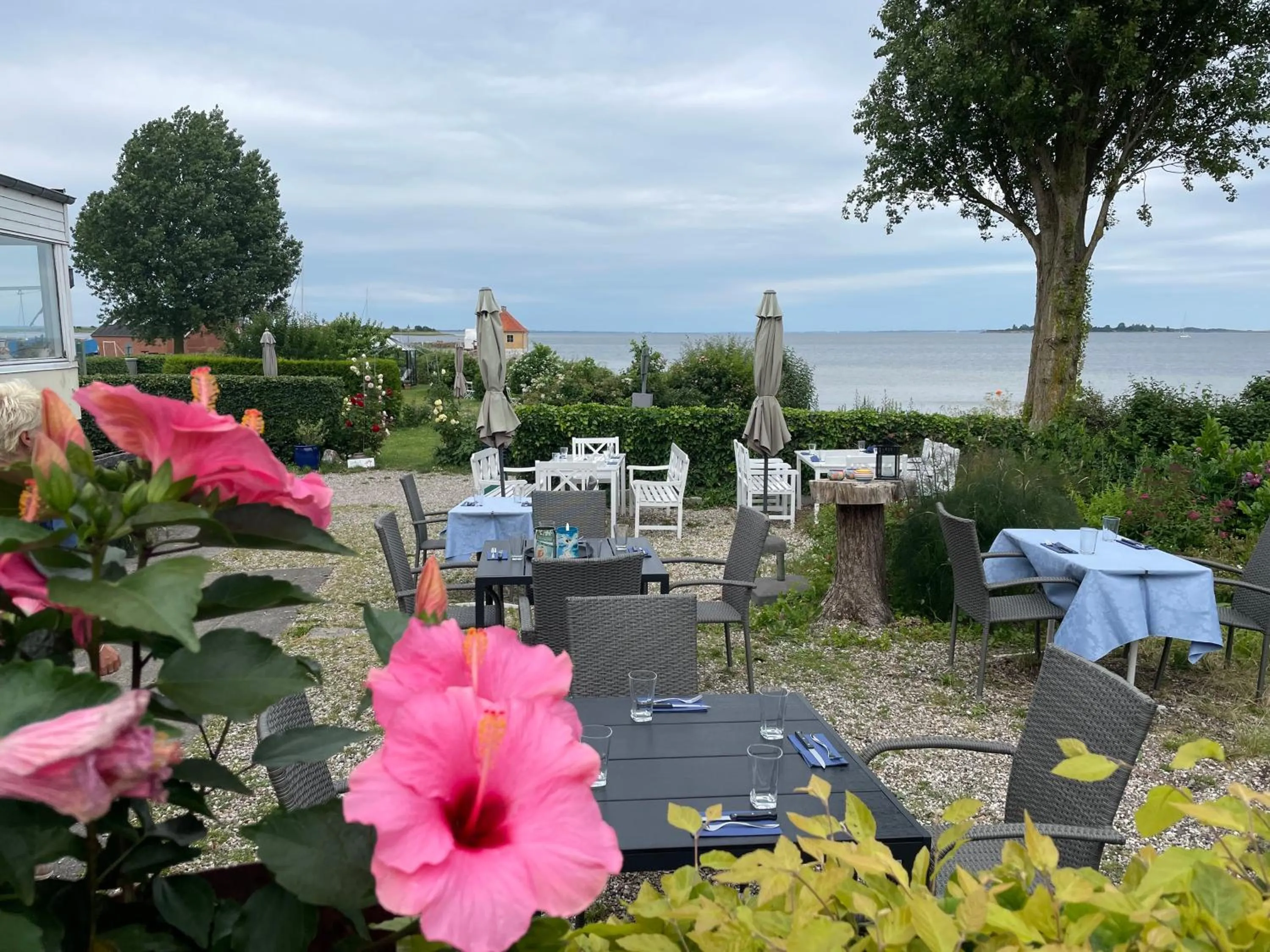 Restaurant/places to eat in Badehotel Harmonien