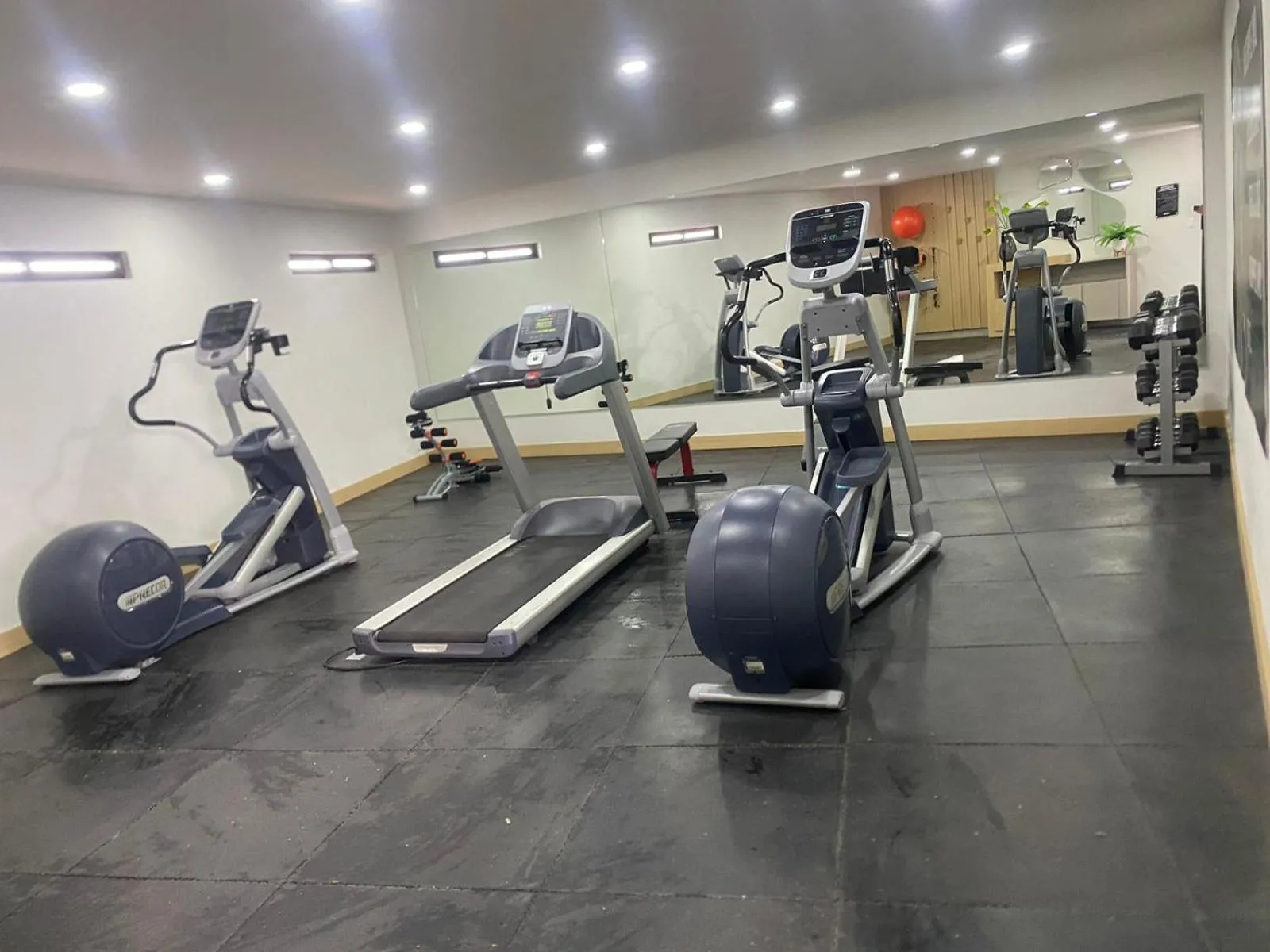 Fitness centre/facilities in Loft Platino