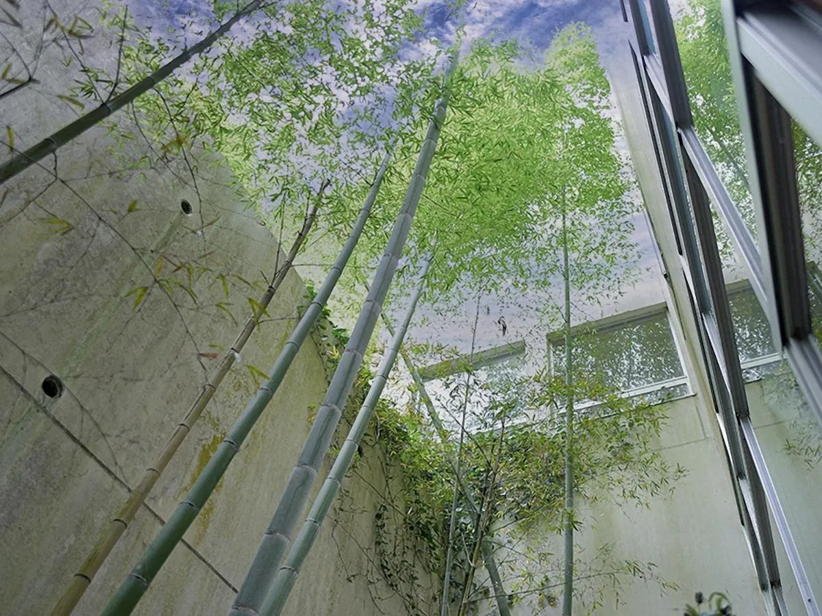 Jisco Hotel Obama Onsen