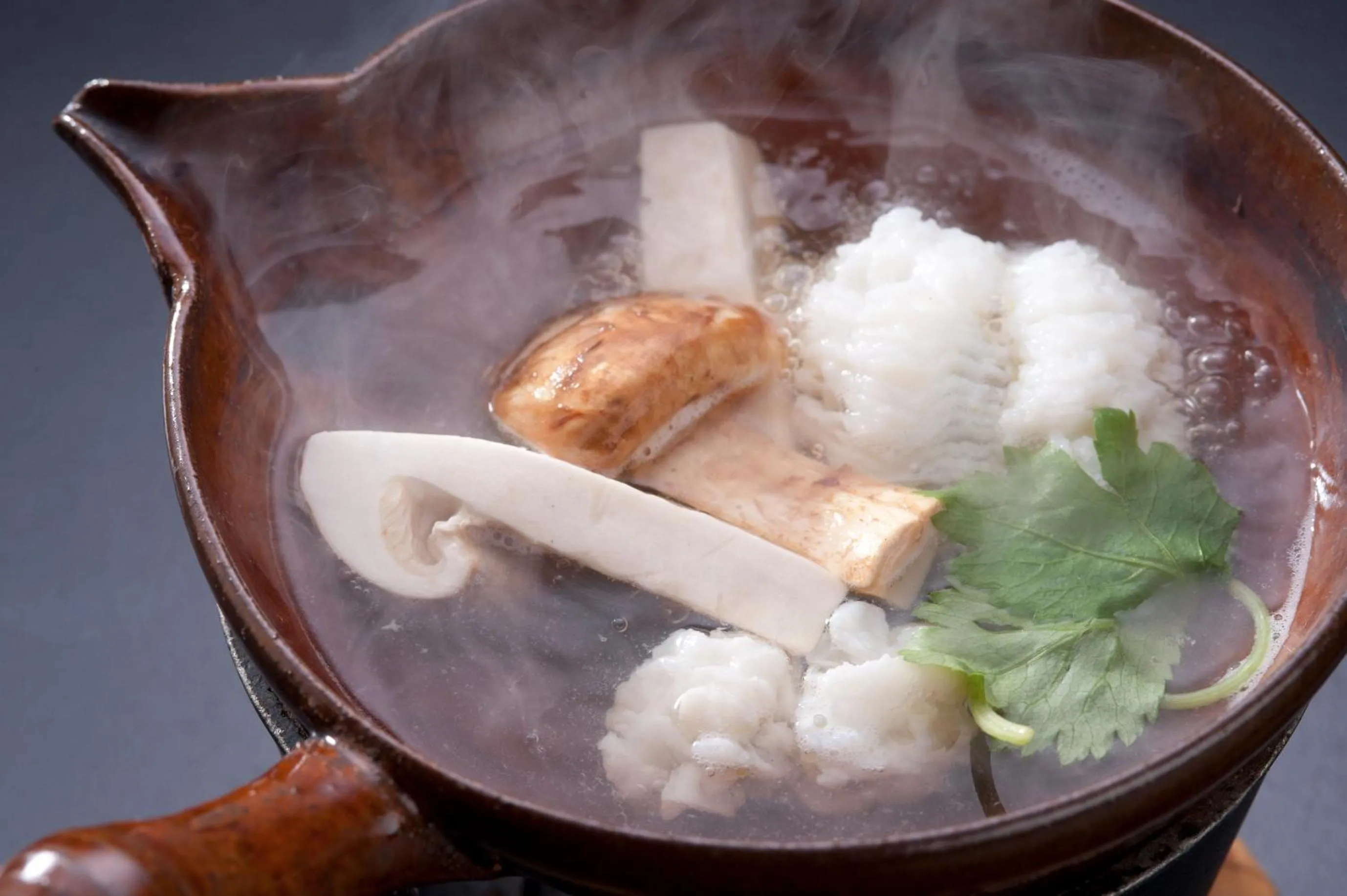 Food close-up in Ryokan Sumiya Kihoan
