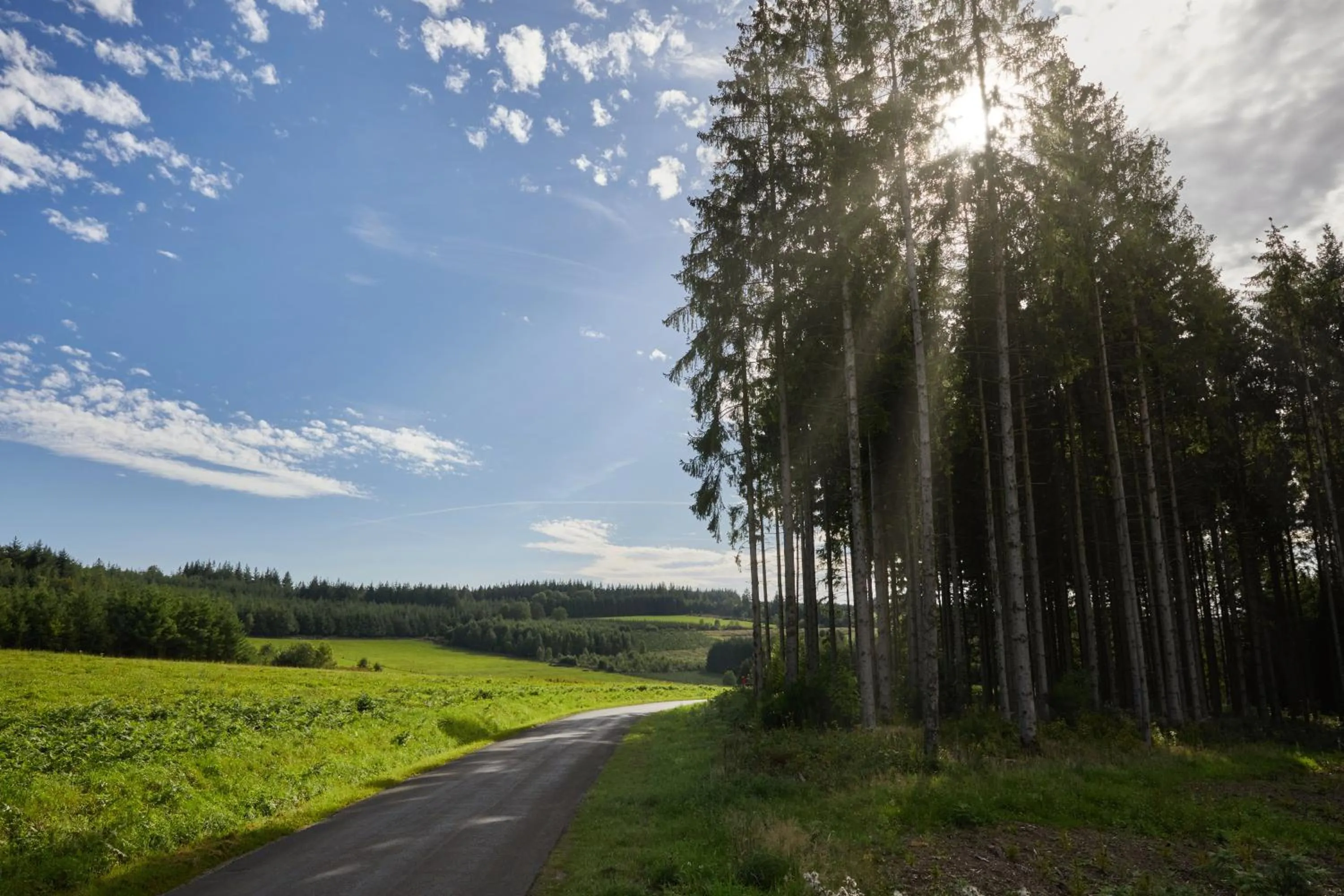 Area and facilities in Hillview Hotel Grandvoir