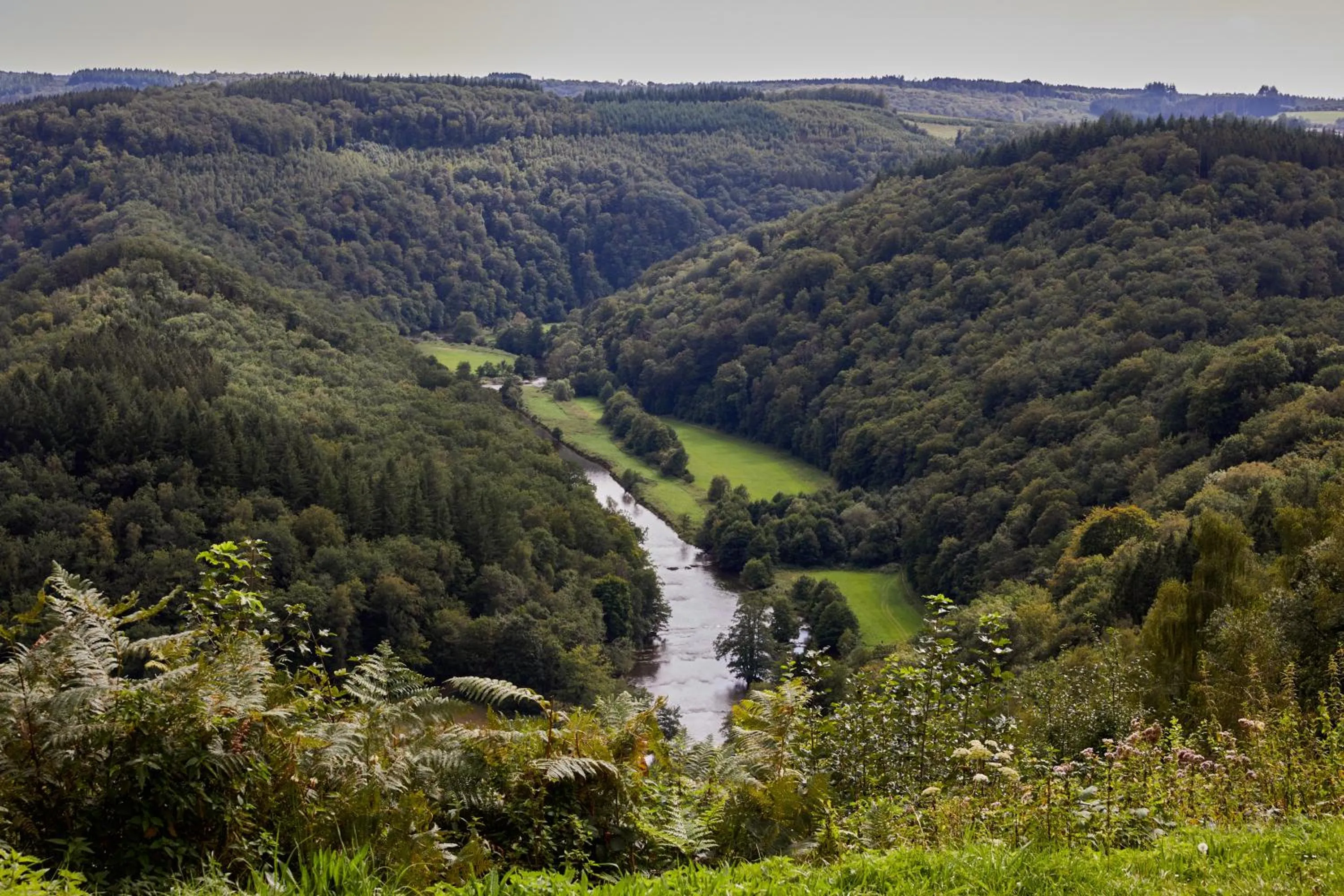 Area and facilities in Hillview Hotel Grandvoir