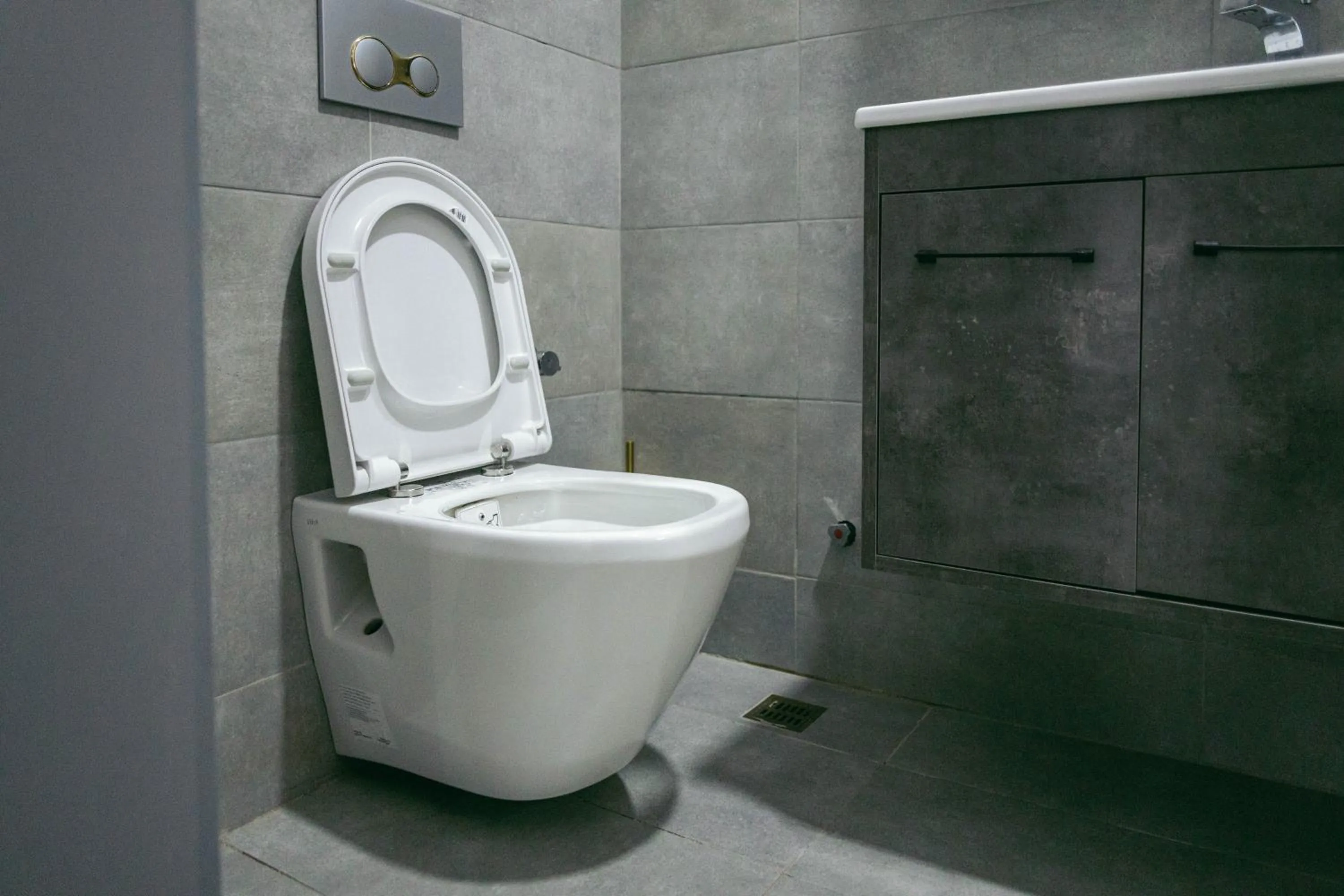 Toilet in Phoenix Luxury Apartments