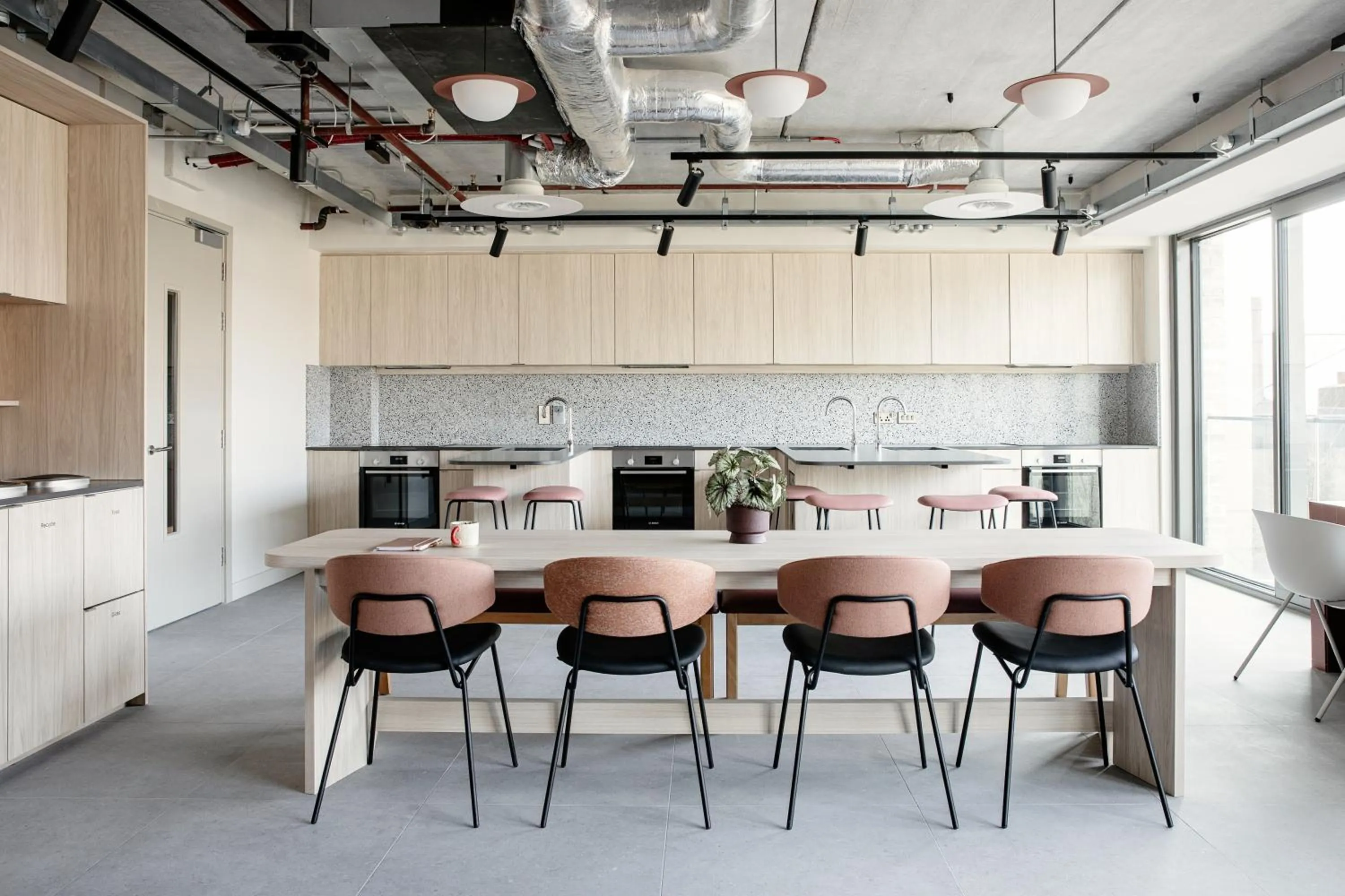 Kitchen or kitchenette in Niche Living - Dun Laoghaire