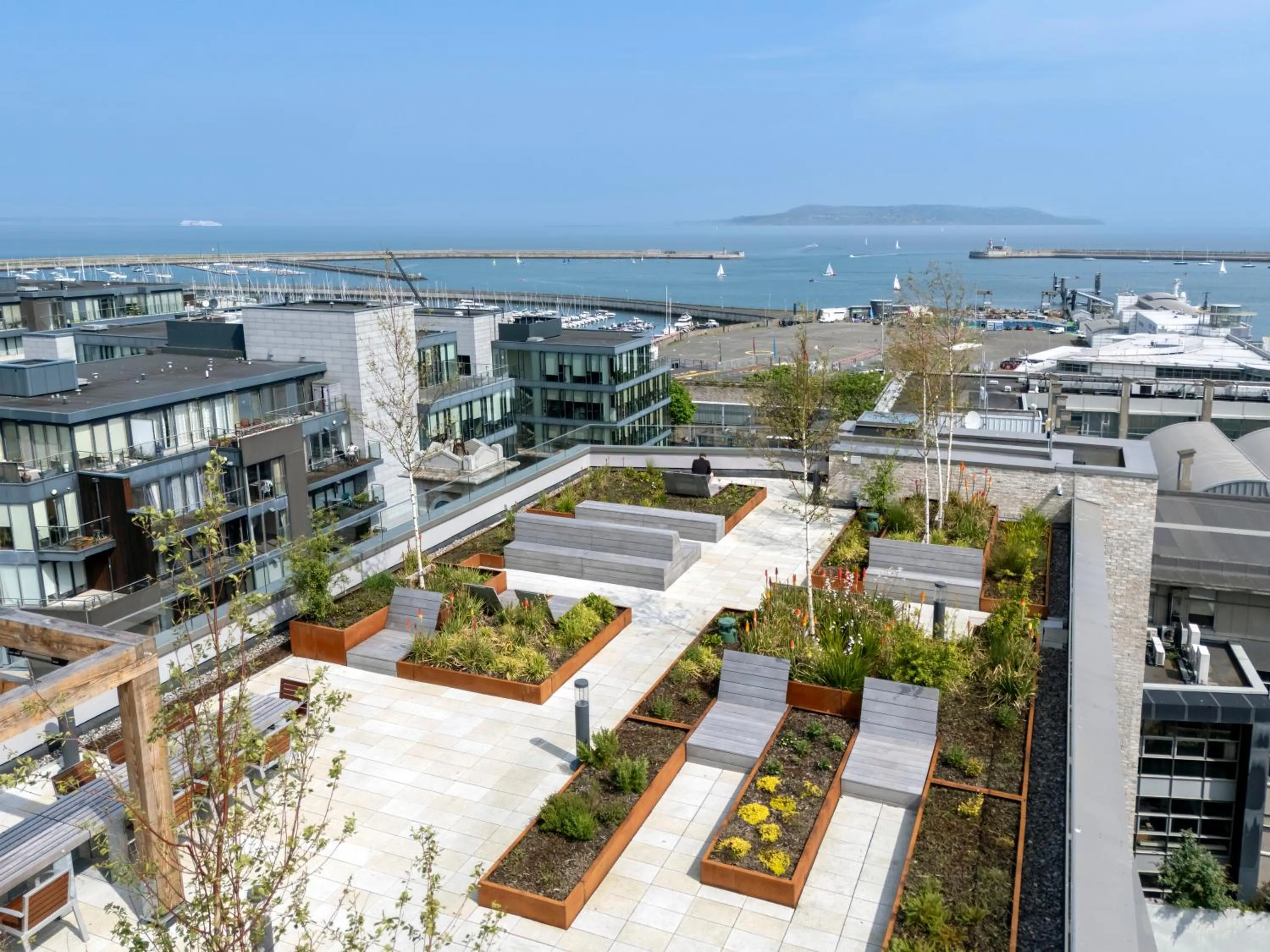 Garden in Niche Living - Dun Laoghaire