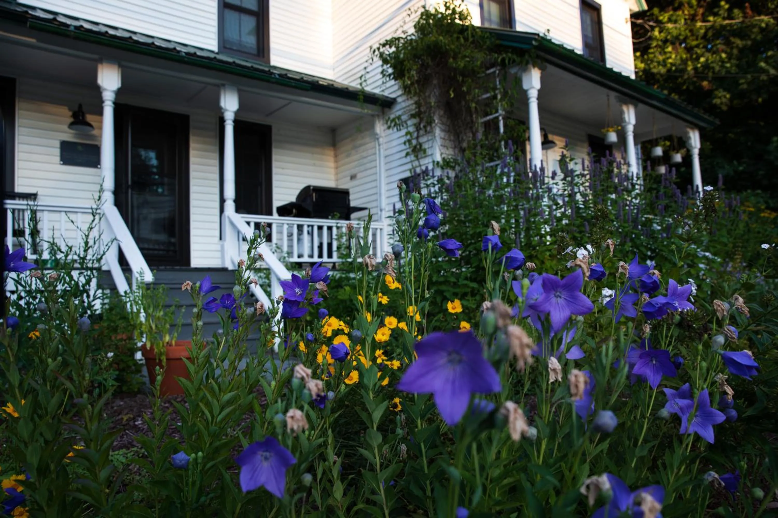Property building in The Yarra