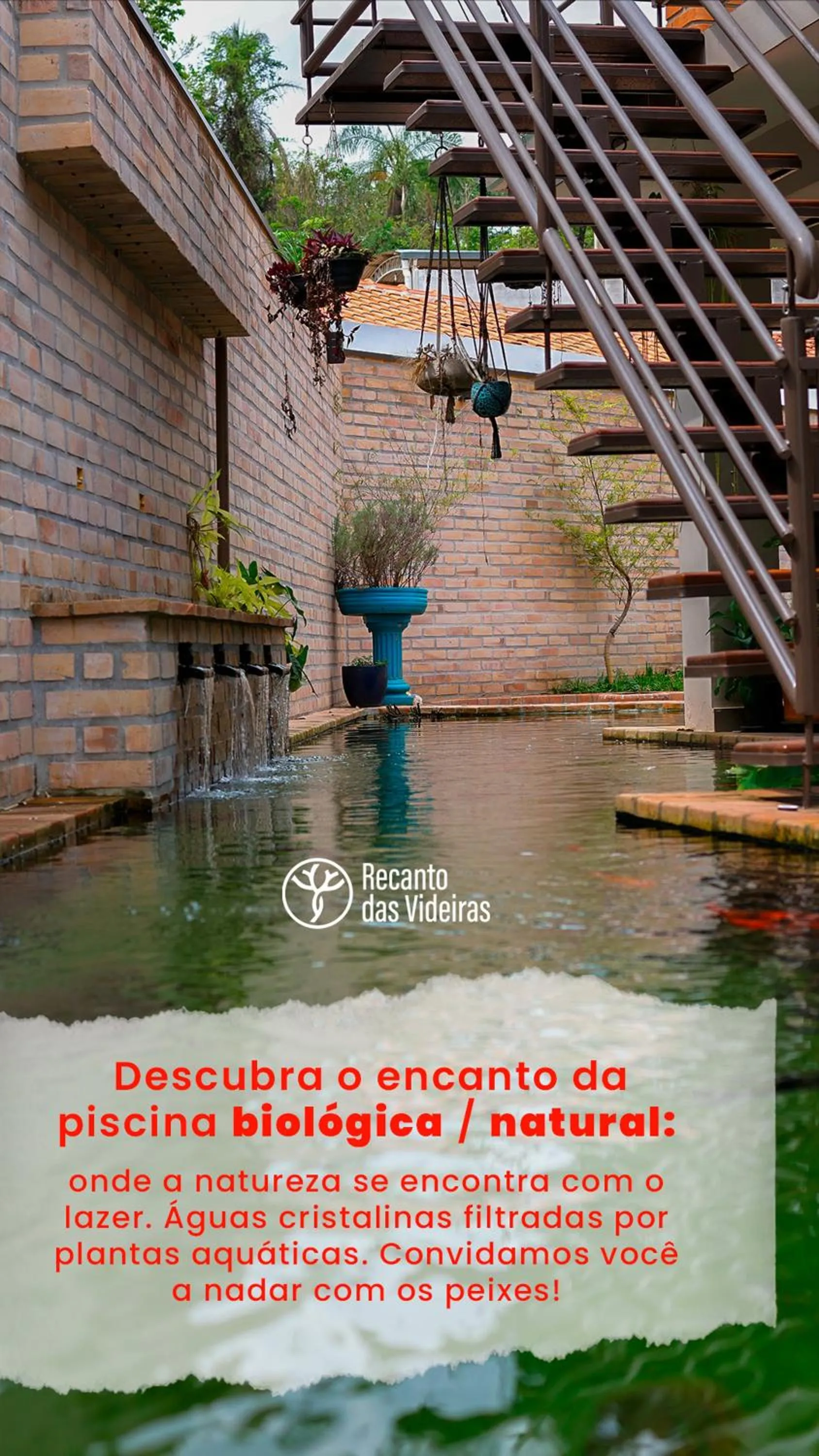 Estúdio em Contêiner no Bosque