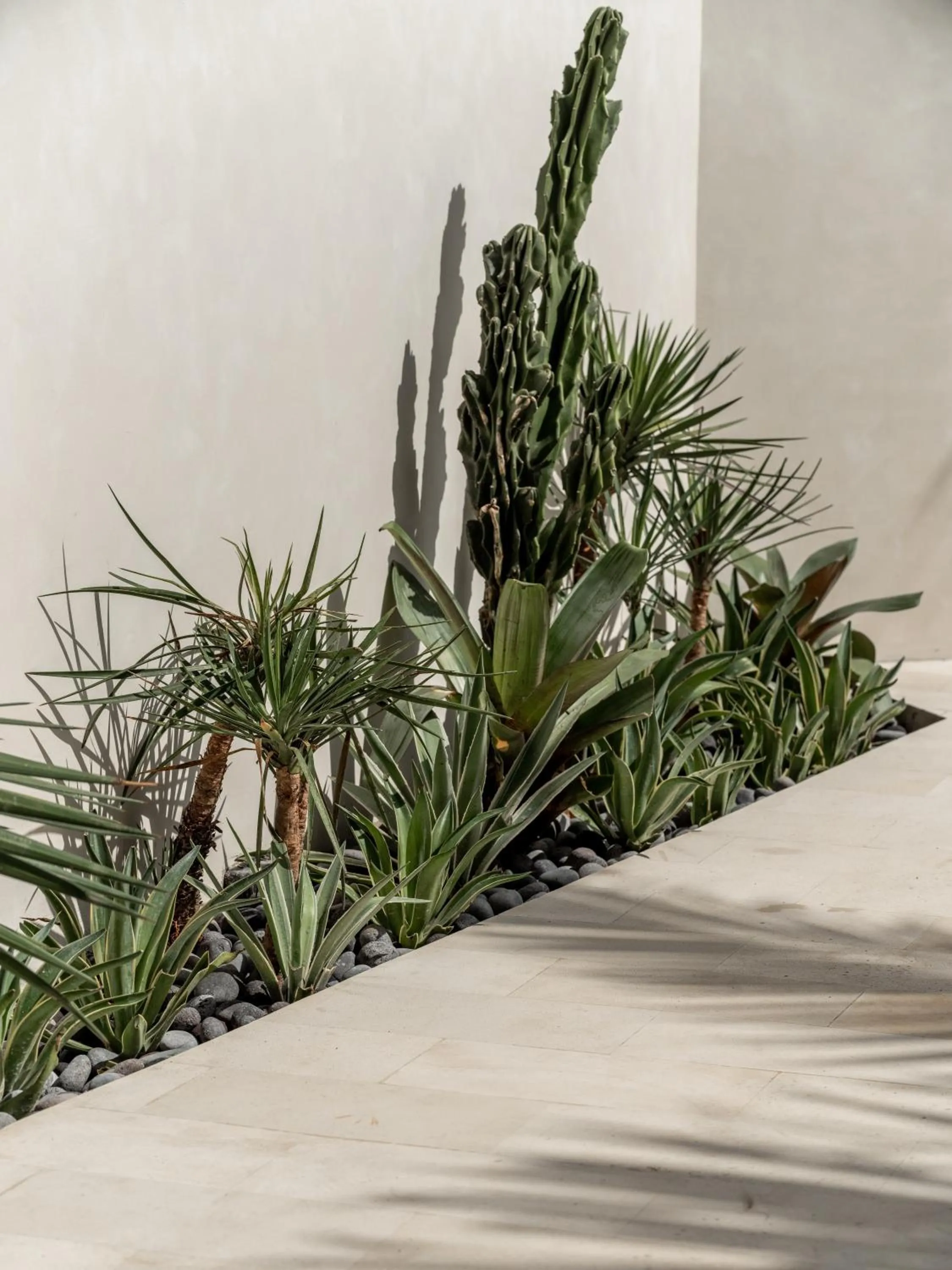 Garden in Blacksand Villas Canggu