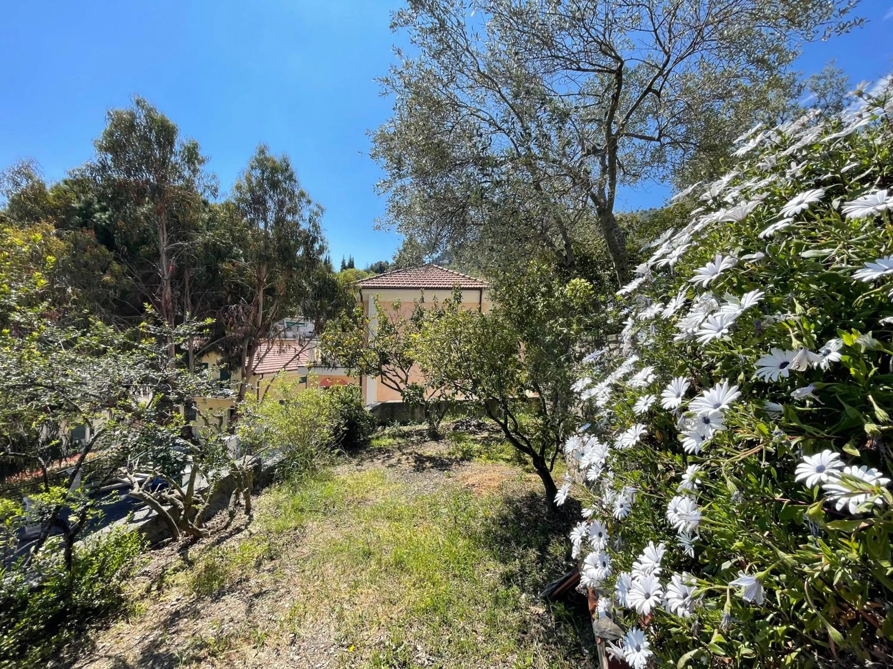 Holiday Rooms La Campagnetta