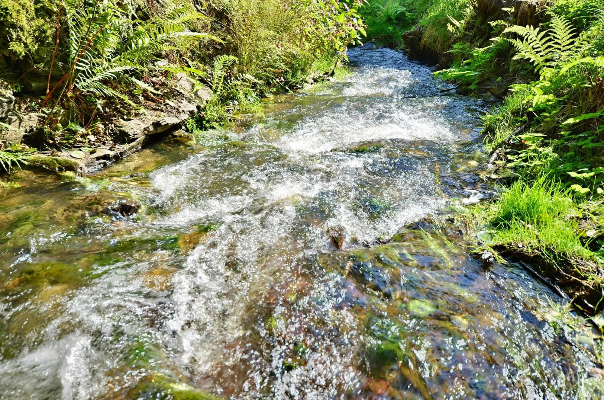 Spring in Rezidence GreenHill ⃰ ⃰ ⃰