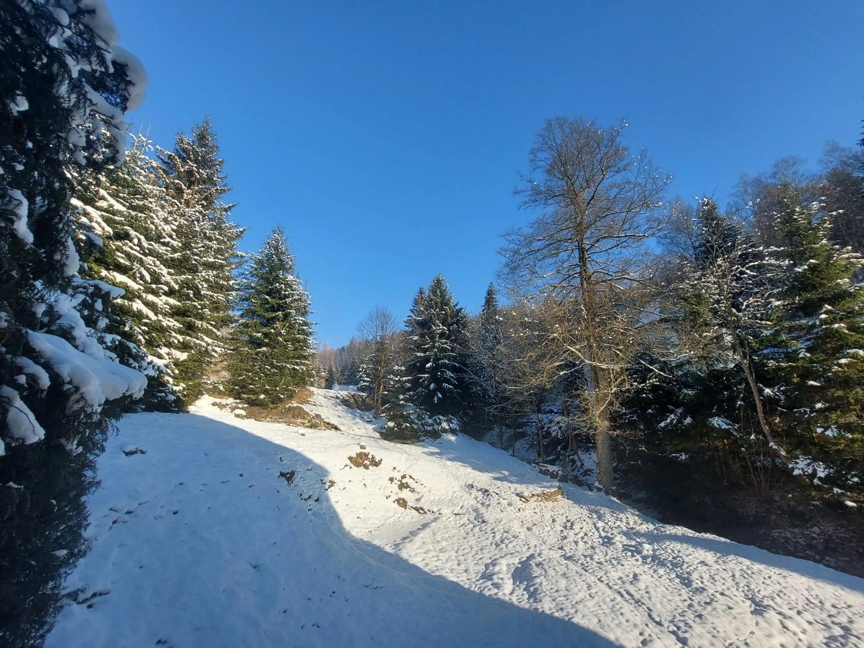 Day in Rezidence GreenHill ⃰ ⃰ ⃰