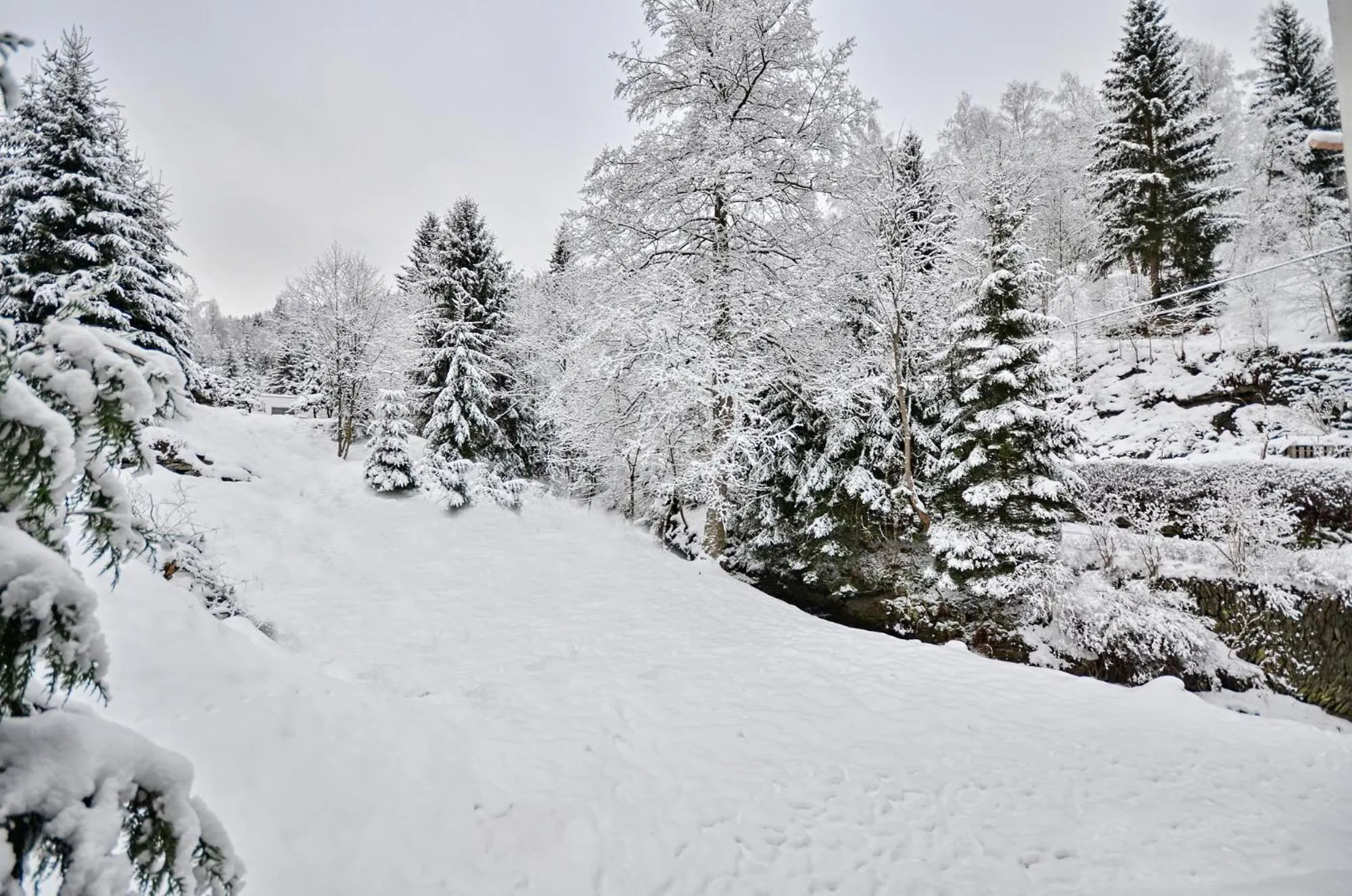 Natural landscape in Rezidence GreenHill ⃰ ⃰ ⃰