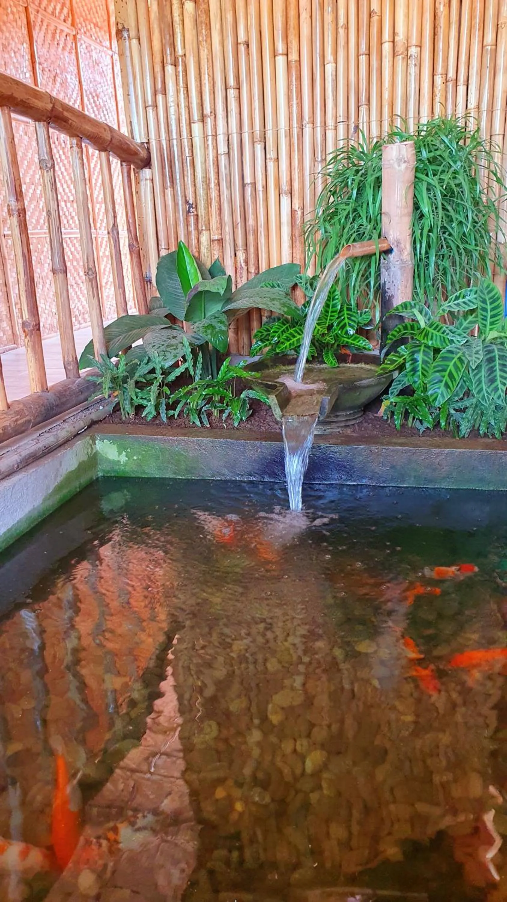 Garden in The Farm Shack by SMS Hospitality