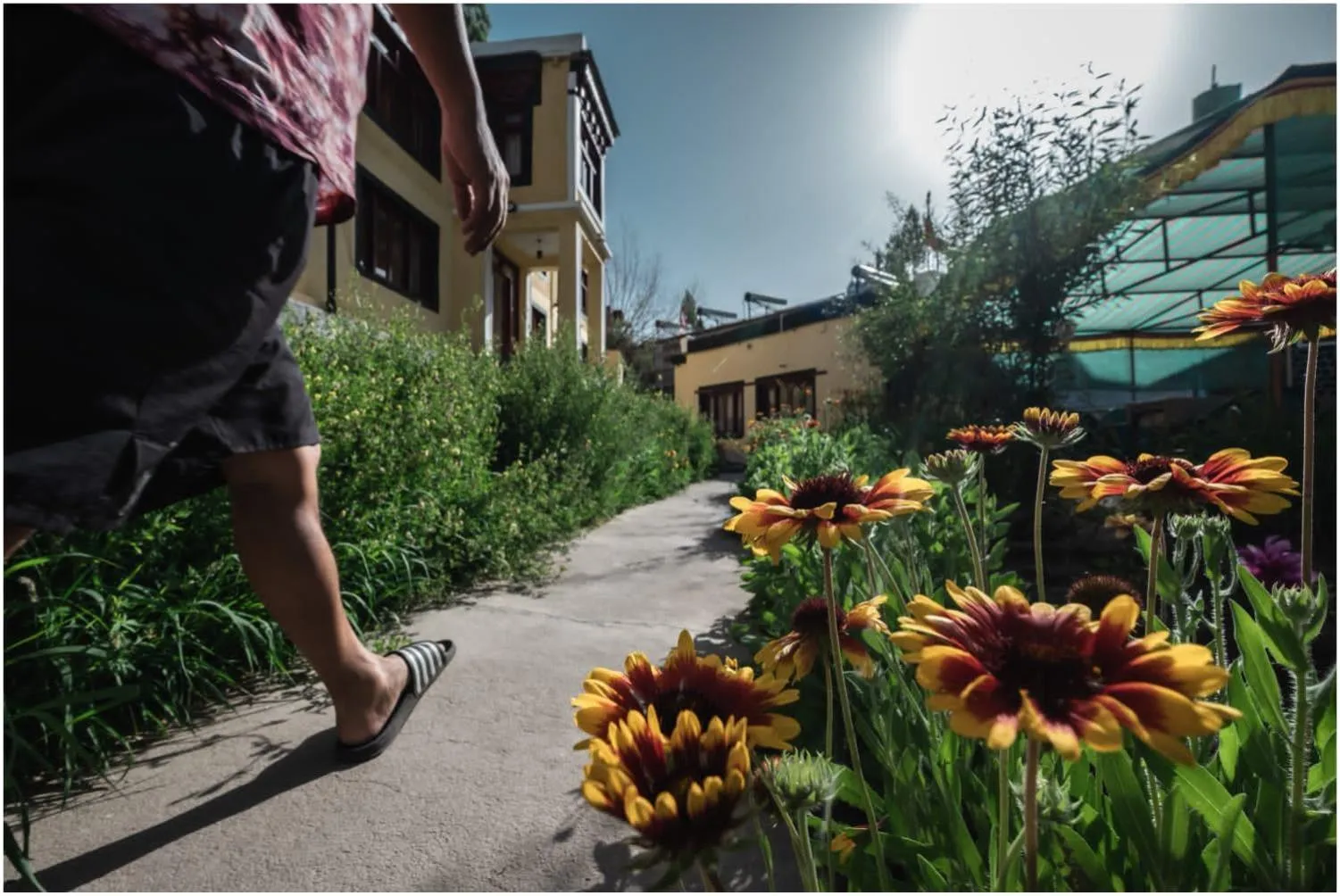 Property building in Hotel Ri ~ Rab Leh