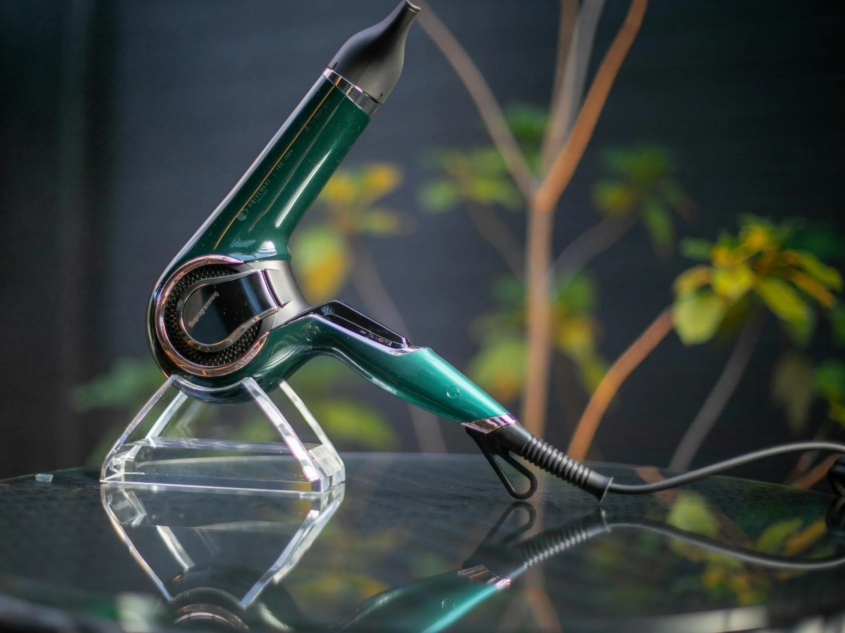 Area and facilities in Yumotoan Kiyohime